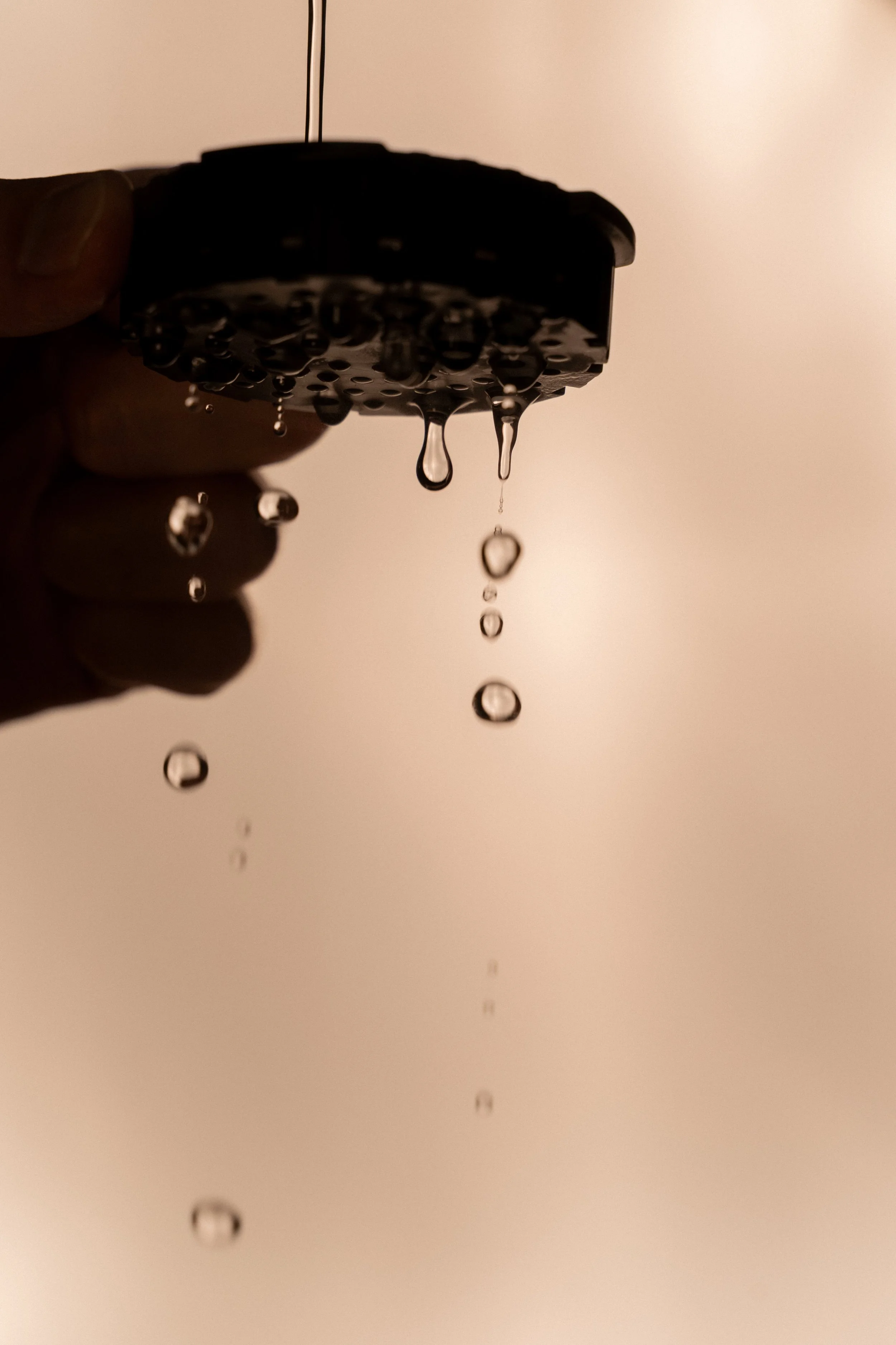 DSC03735.jpg