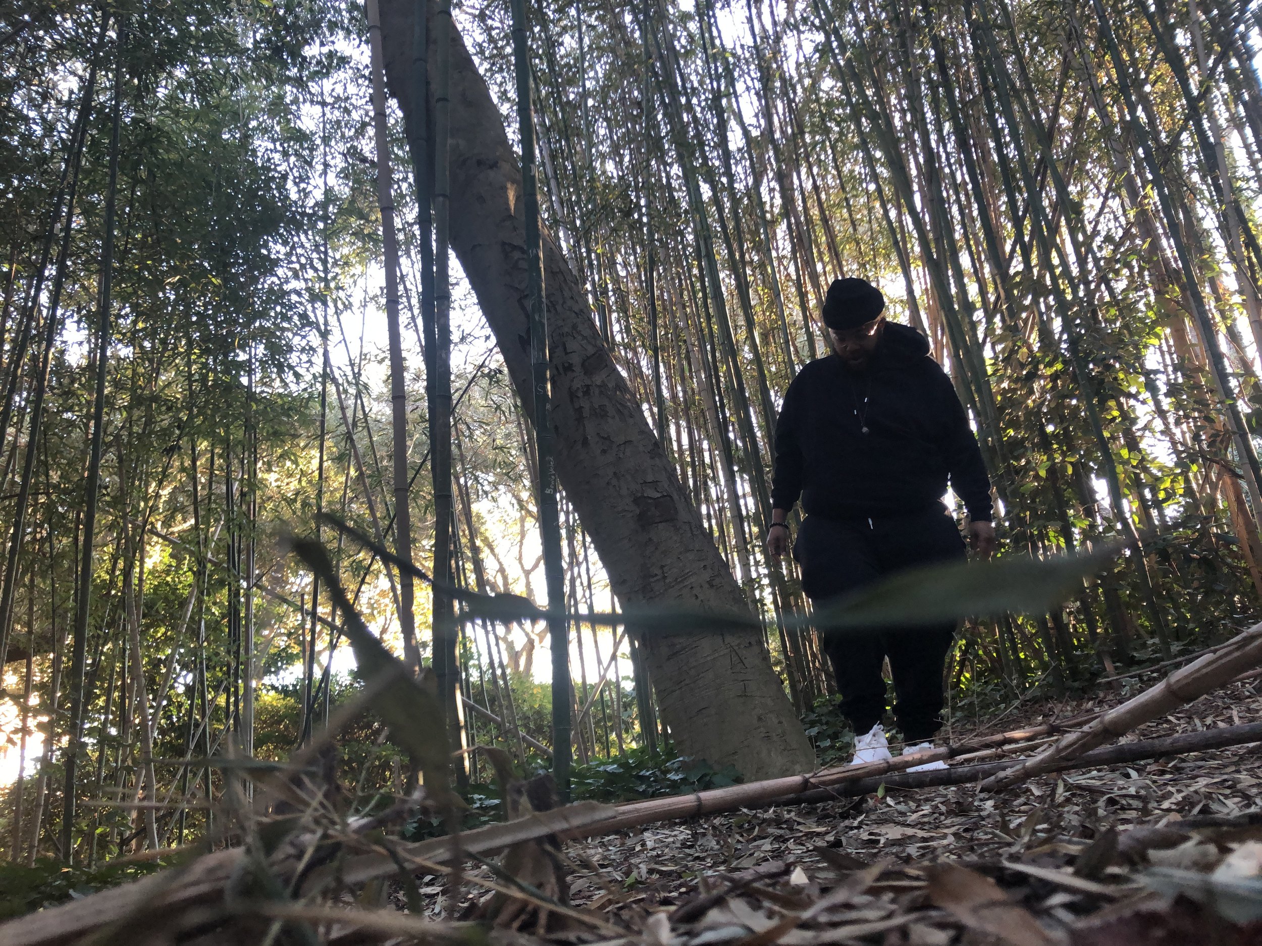 In Pursuit of Liberation