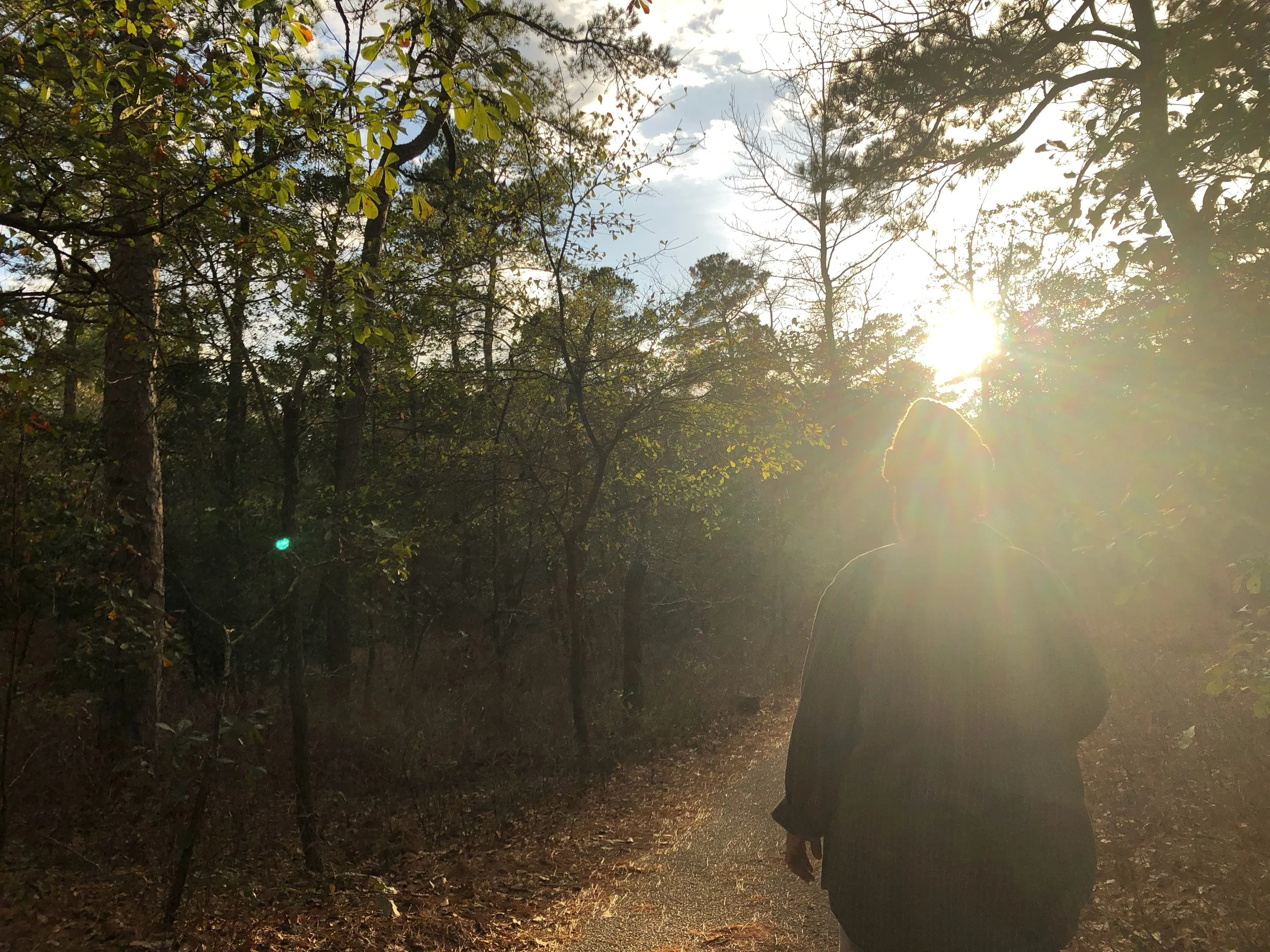 rising whole, gently