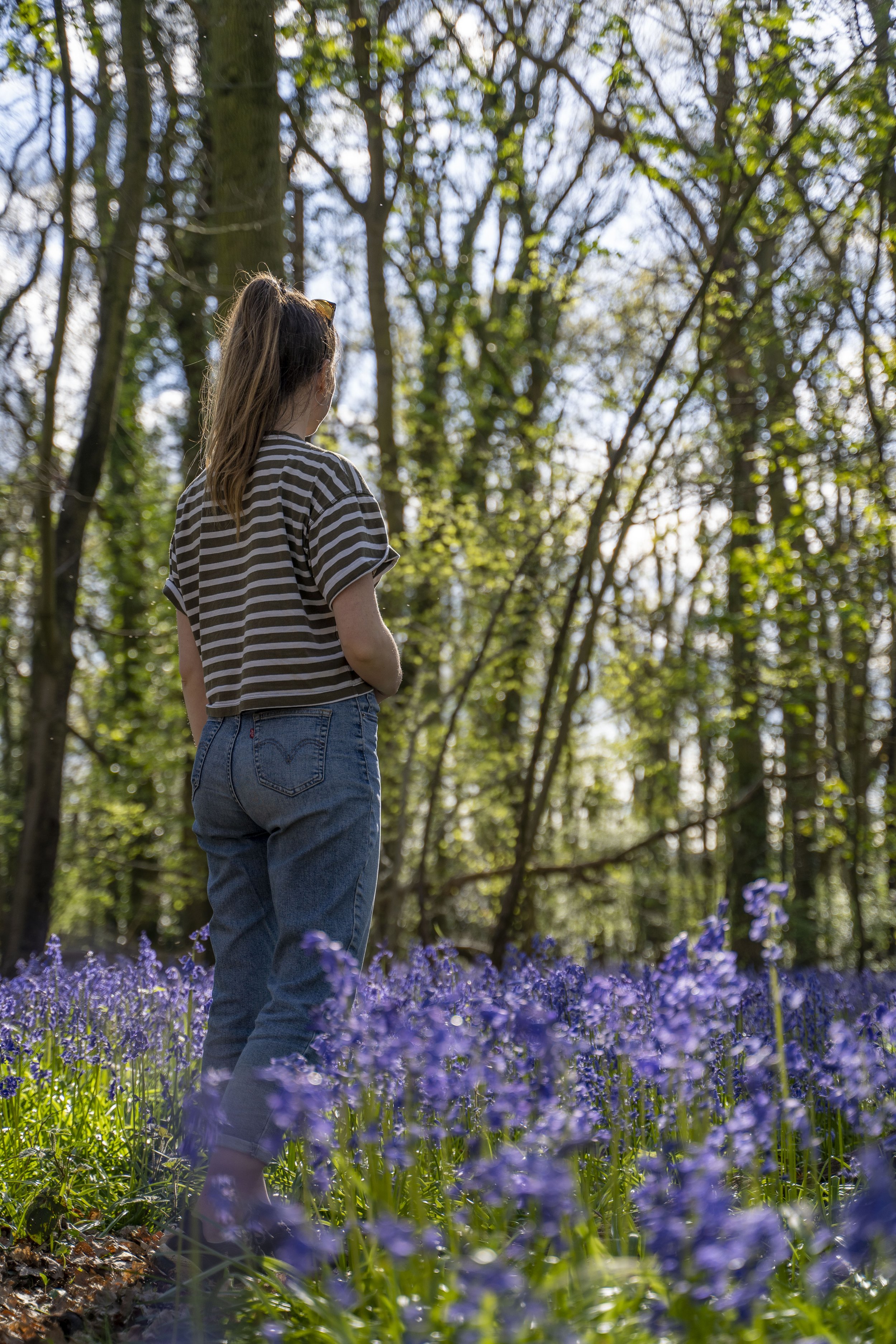  Bluebell Walk | ©Forestry England 
