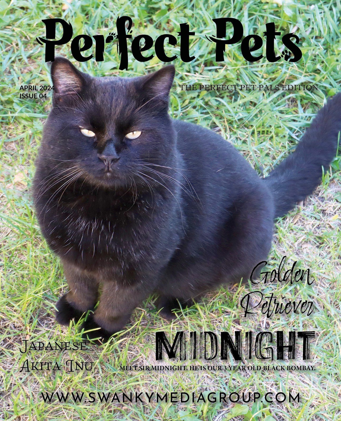 OUR APRIL ISSUES HAVE ARRIVED 🖤⁠
⁠
Perfect Pets Magazine - April 2024: The Perfect Pets Pals Edition Issue 4⁠
⁠
This month, our Editor-in-chief, Lucy Morris (@lucyjanemedia), discusses the theme of the spring season, focusing on its relevance to pet