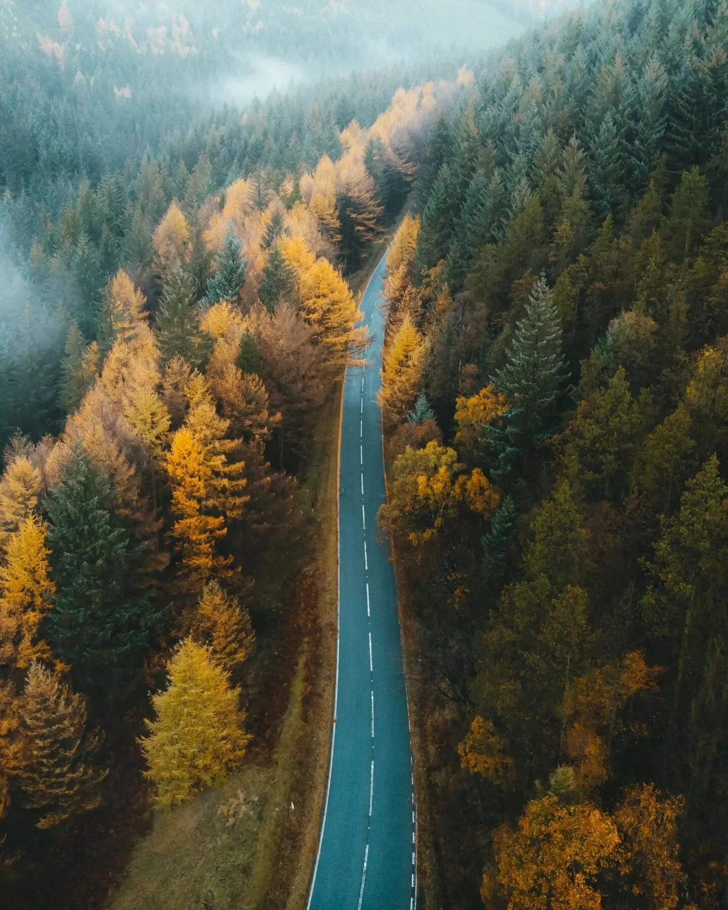 Snake woodlands road from above and below 

One of those days where you're driving around trying to find the best conditions. Was hoping this place would have abit more fog on offer but was still pretty happy with the images! 

Which angle do you pre