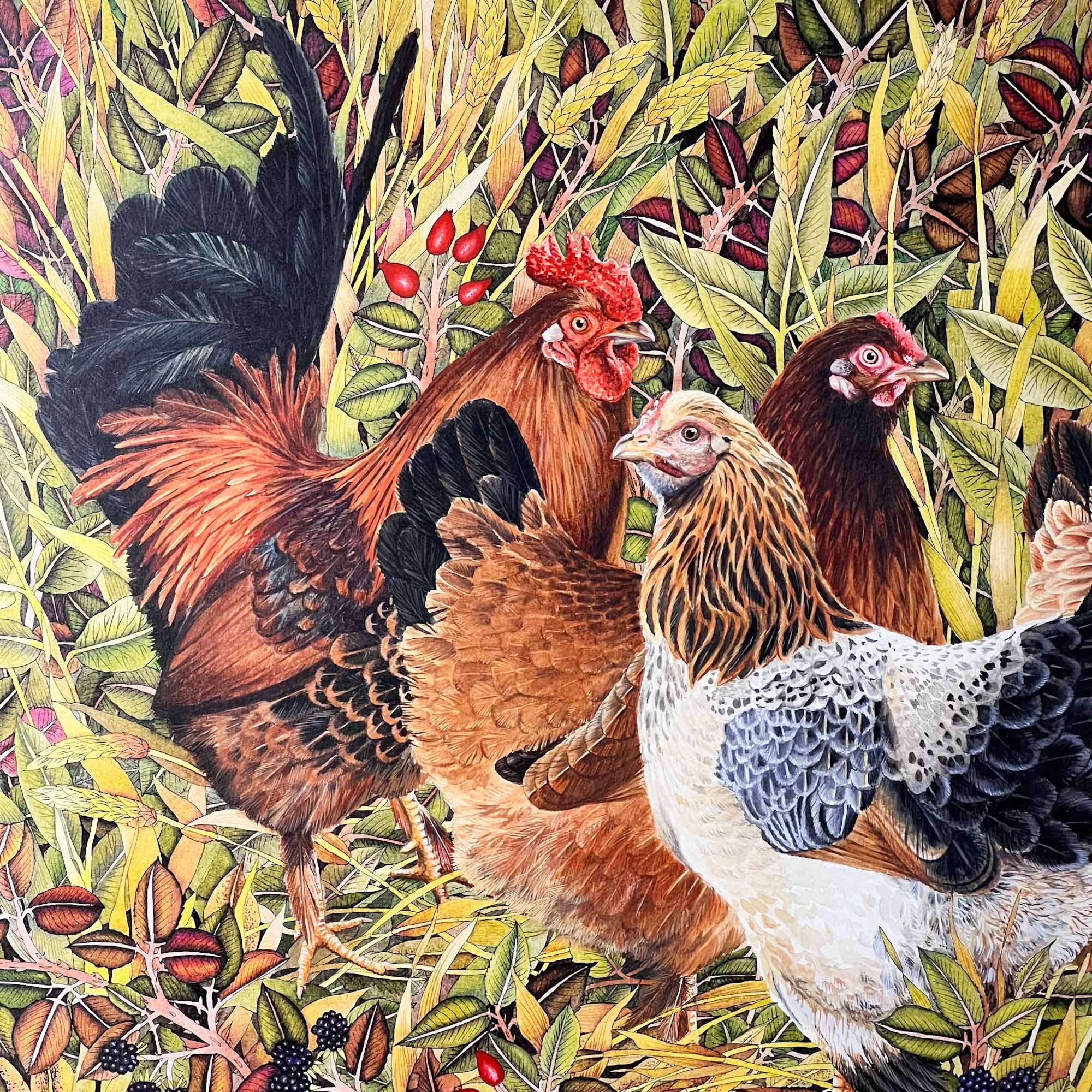 chicken artwork