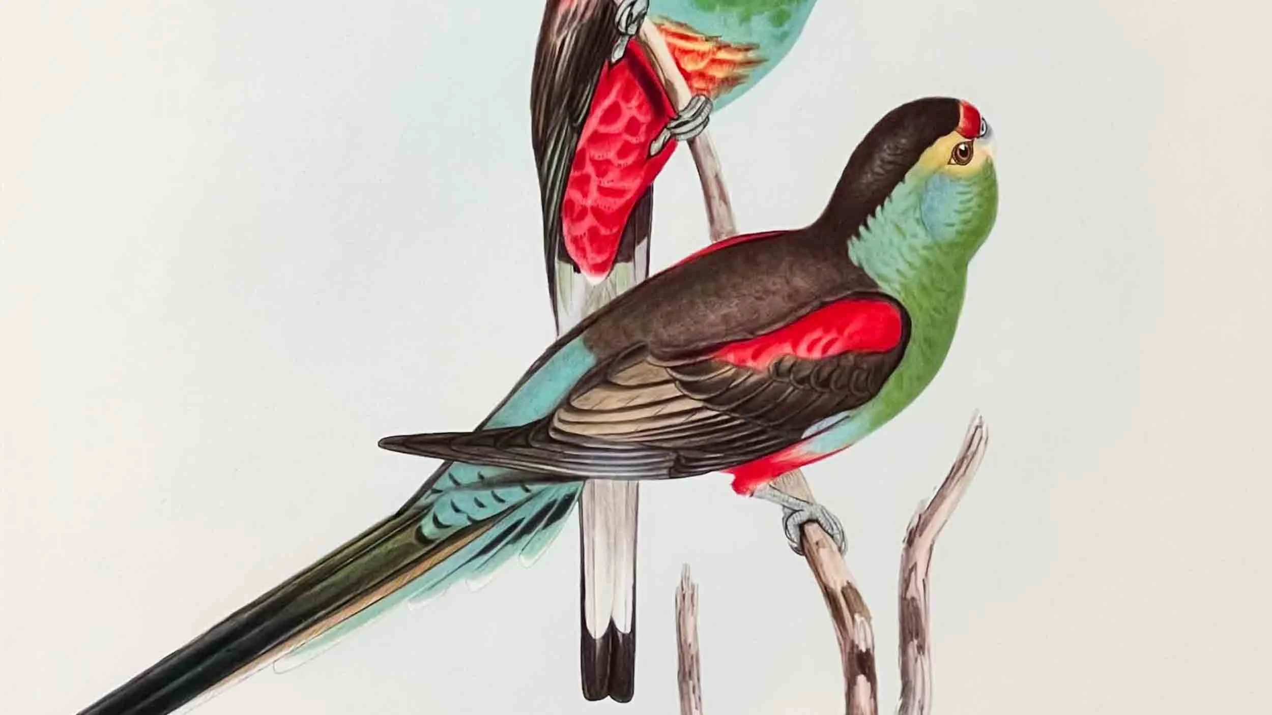 homepage 16 x 9-13.jpg