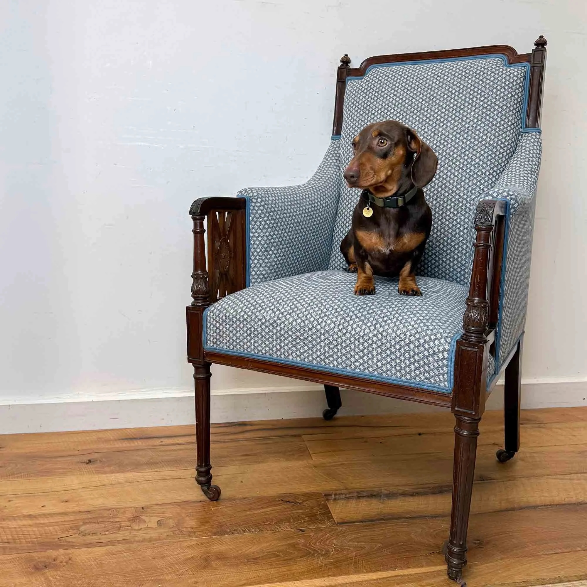 edwardian blue upholstered armchair