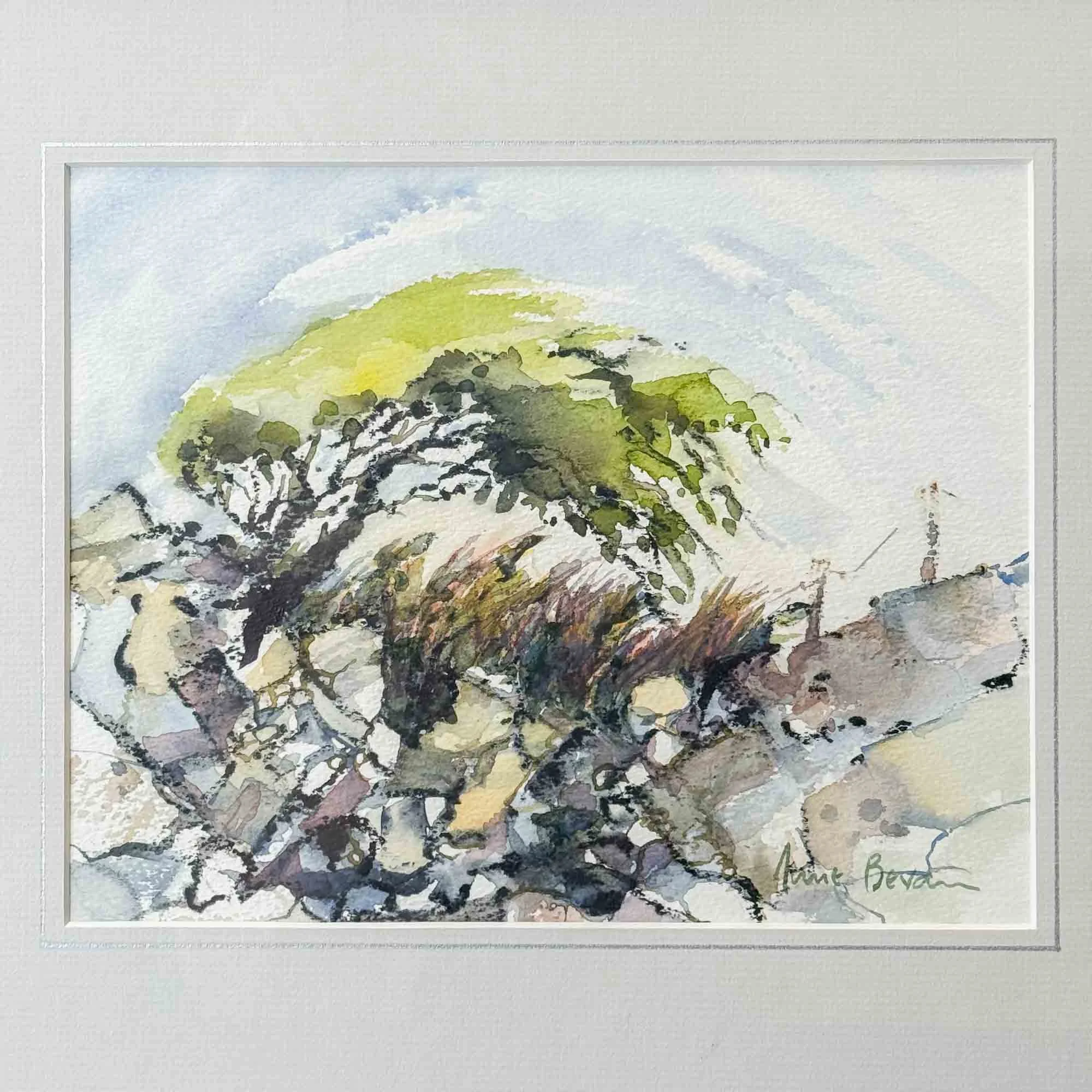 june bevan windblown hawthorns watercolour-4.jpg