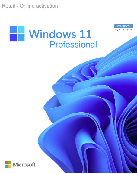 win 11 pro.PNG