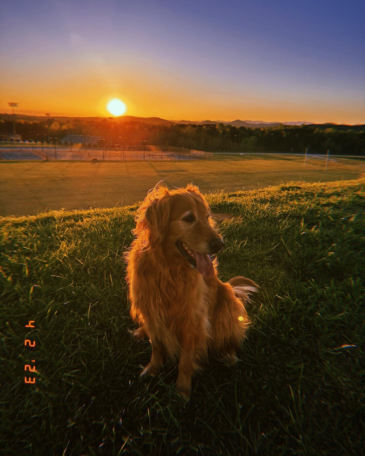 A week ago I found out my golden-hearted boy has cancer. All throughout his body. And it isn't treatable.

With grief, there are highs and lows and acute awareness of how time is passing. I was thinking about it as I drove to work a few days ago&hell