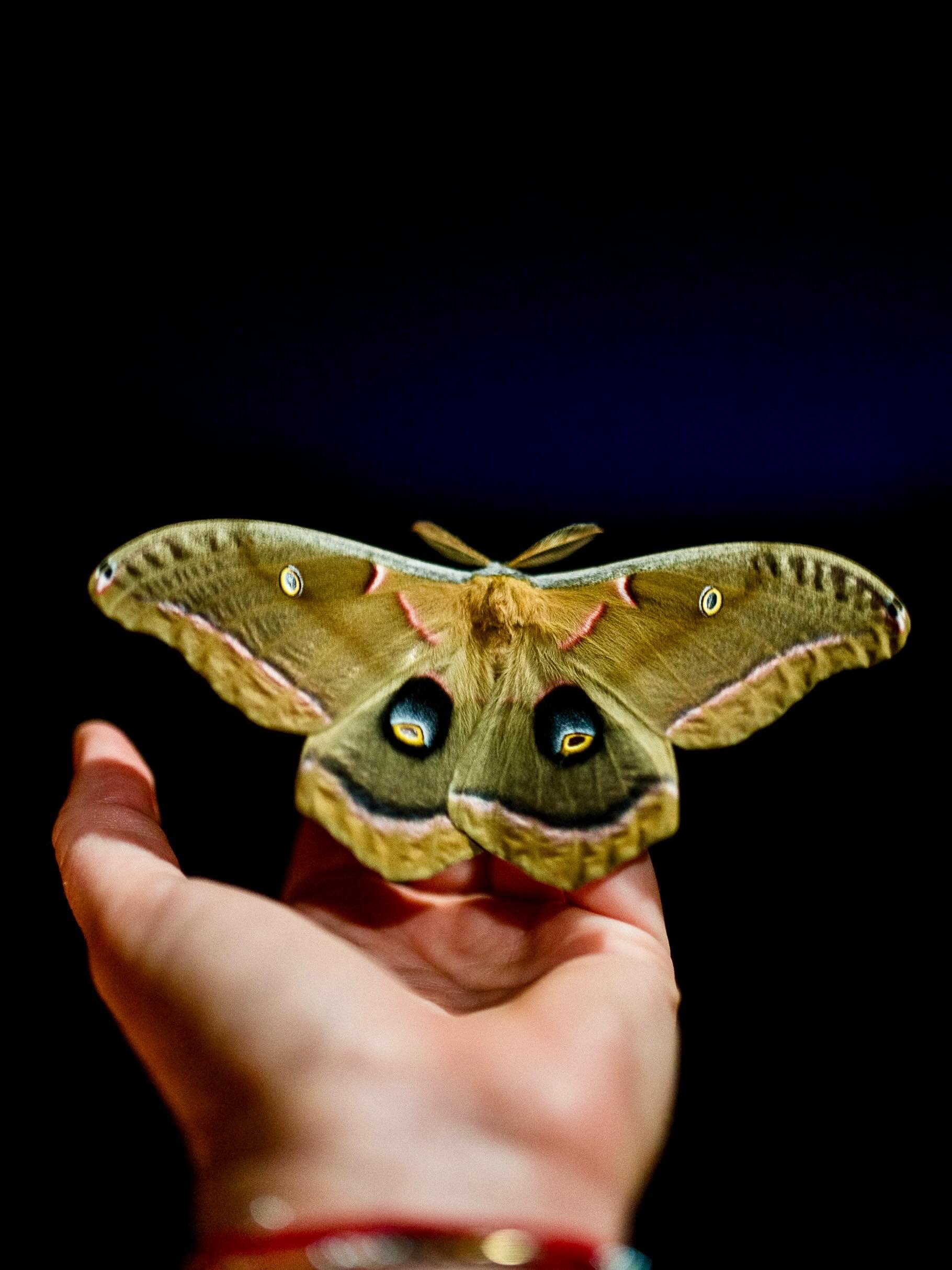 Letting this live here as a reminder that there is medicine in what Nature sends us, that there is hope left even if it feels ragged, that there is more to us than what lives in a little square screen, that real, beautiful things exist. That you can 