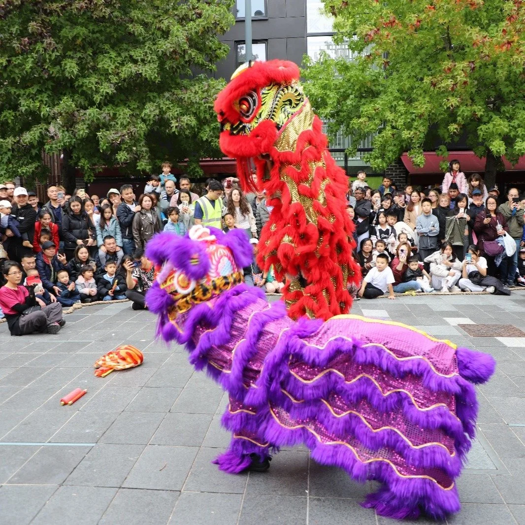 The Mid-Autumn Festival on Sunday, September 28th, 2025, was truly unforgettable, especially thanks to the breathtaking Lion Dance displays! 🦁✨

We are so proud to celebrate the fantastic debut of our NEW VFP Red Lion troupe, masterfully guided by N