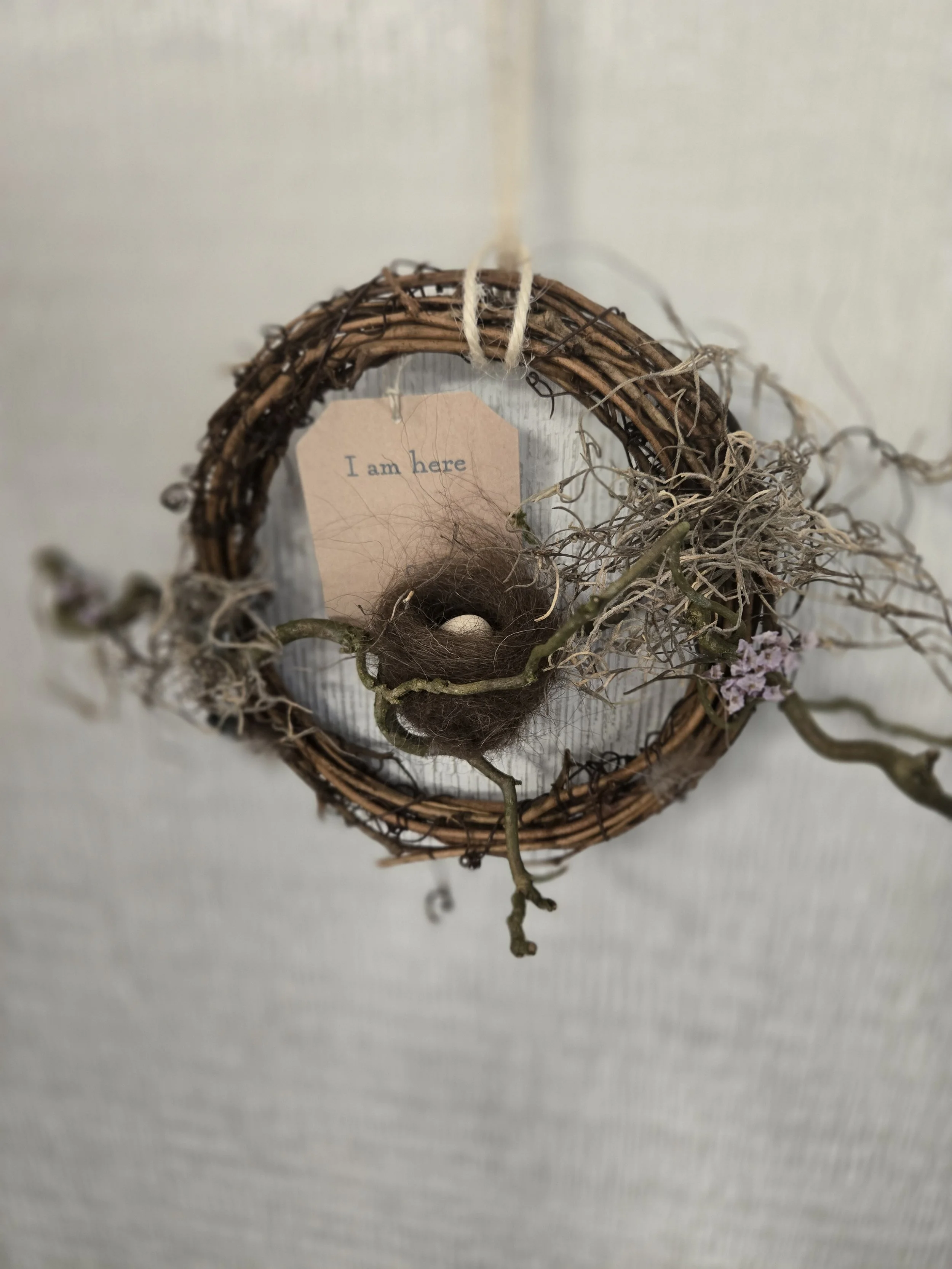 nest.jpg