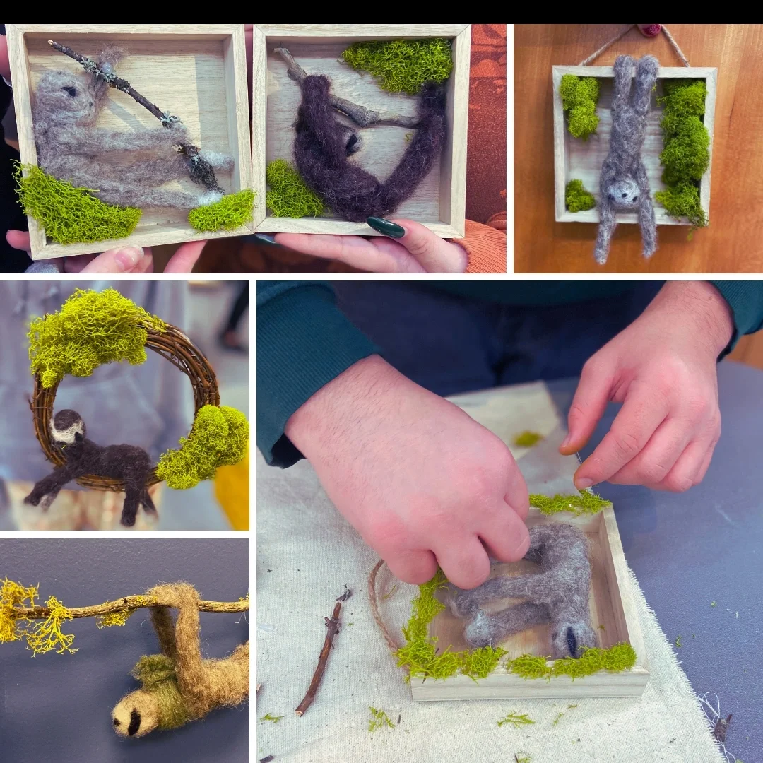 sloth collage pic.webp