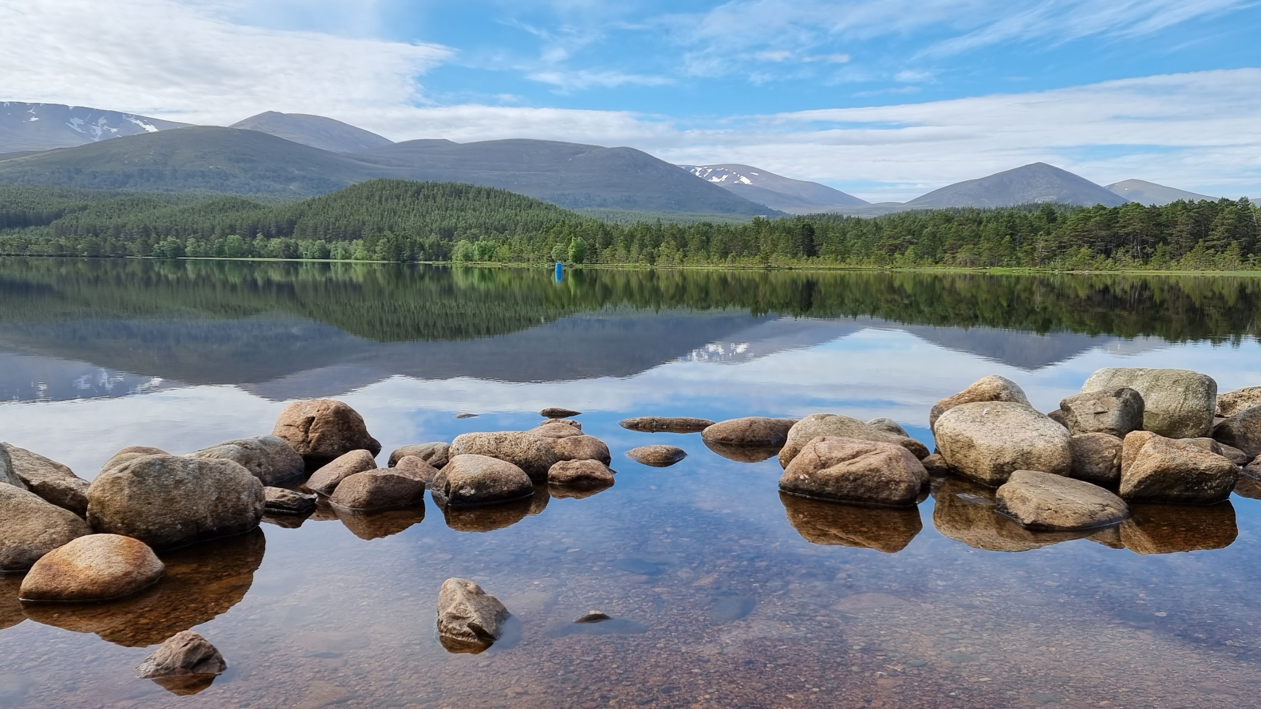 english countryside (1).png