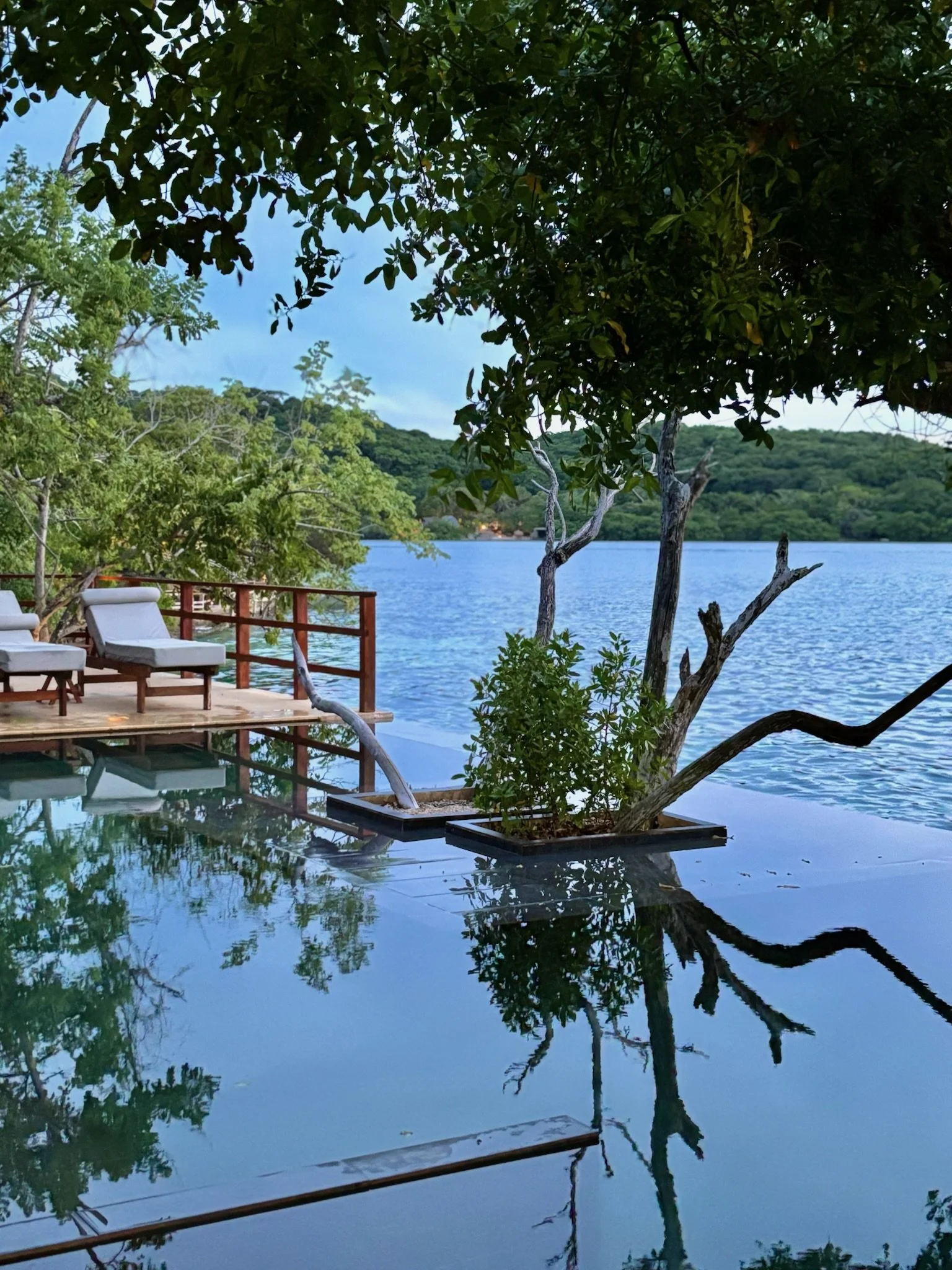 IMG_7172 2 copy.jpeg