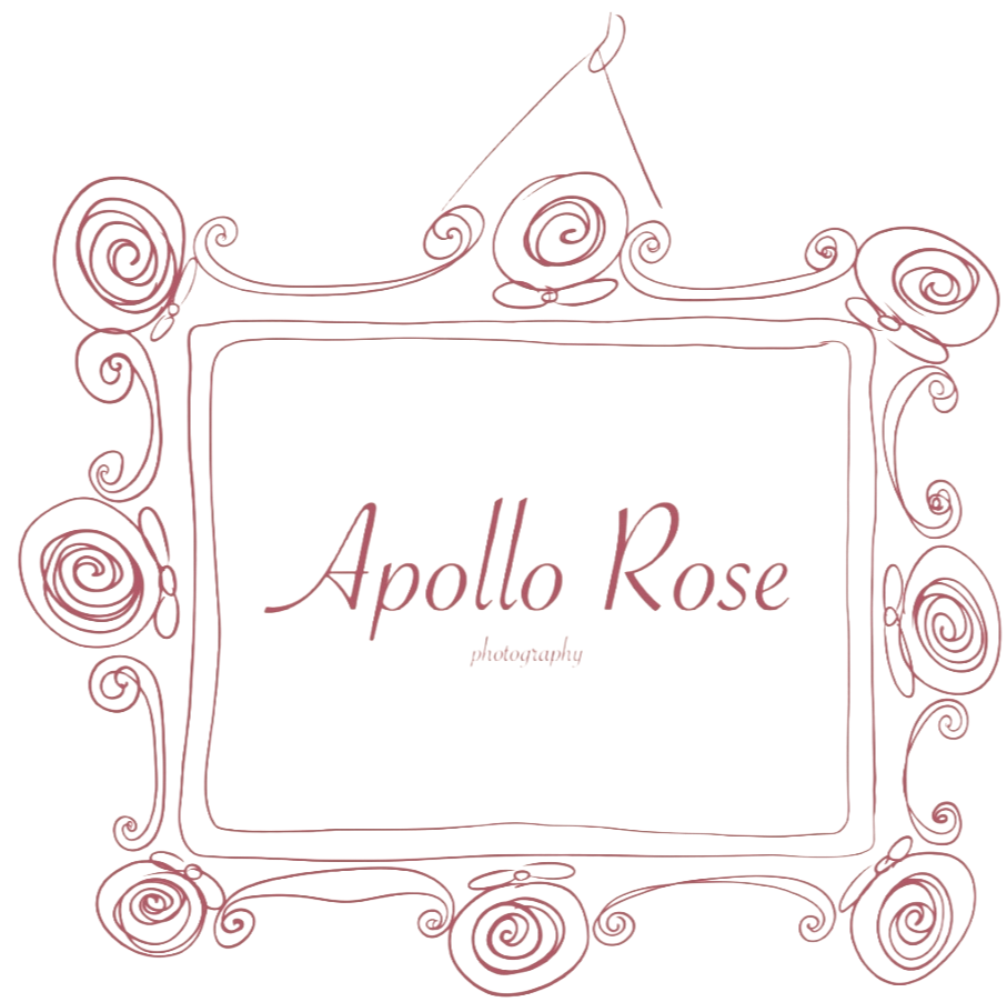 Apollo Rose Photo