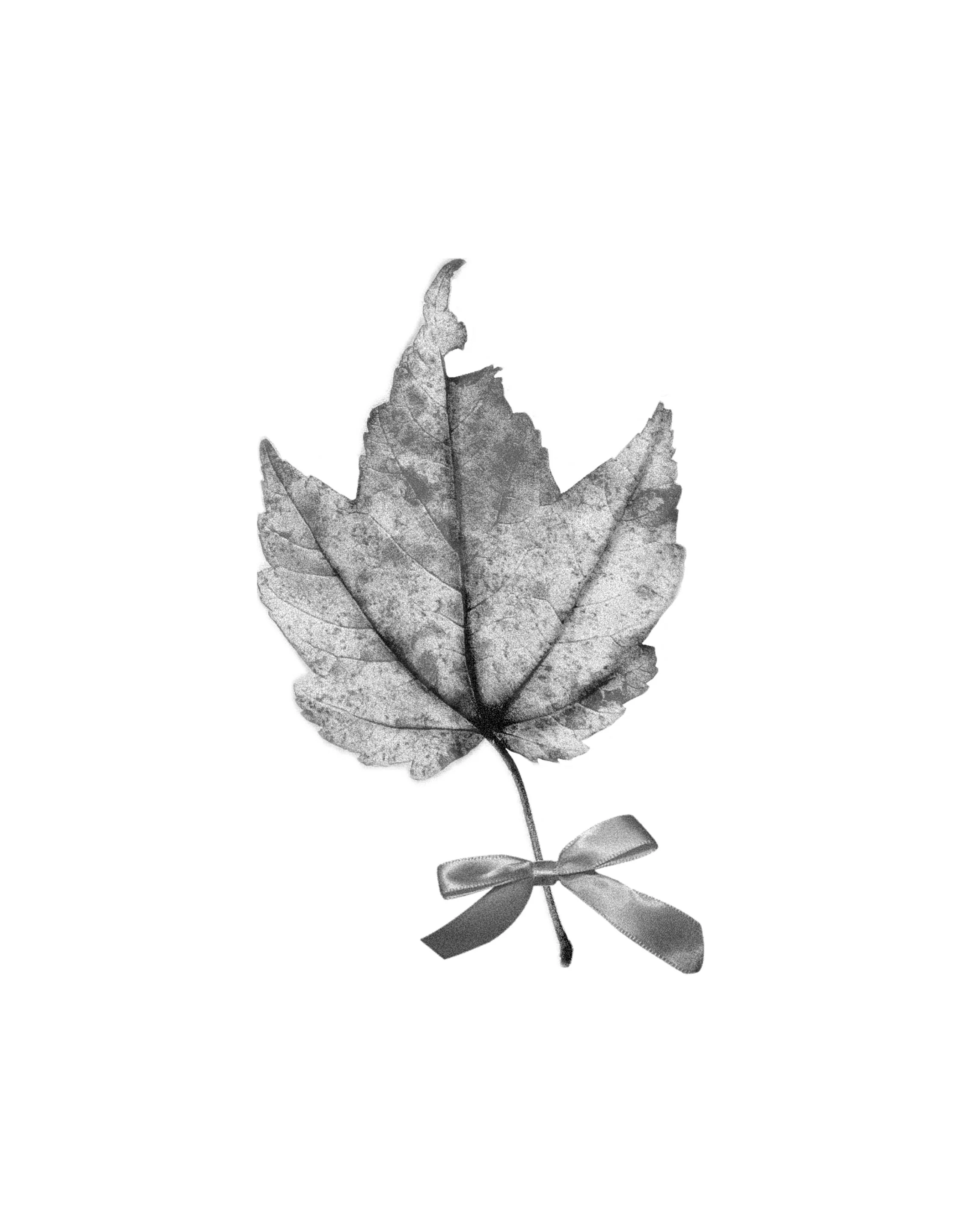 Untitled_Artwork (16).JPG