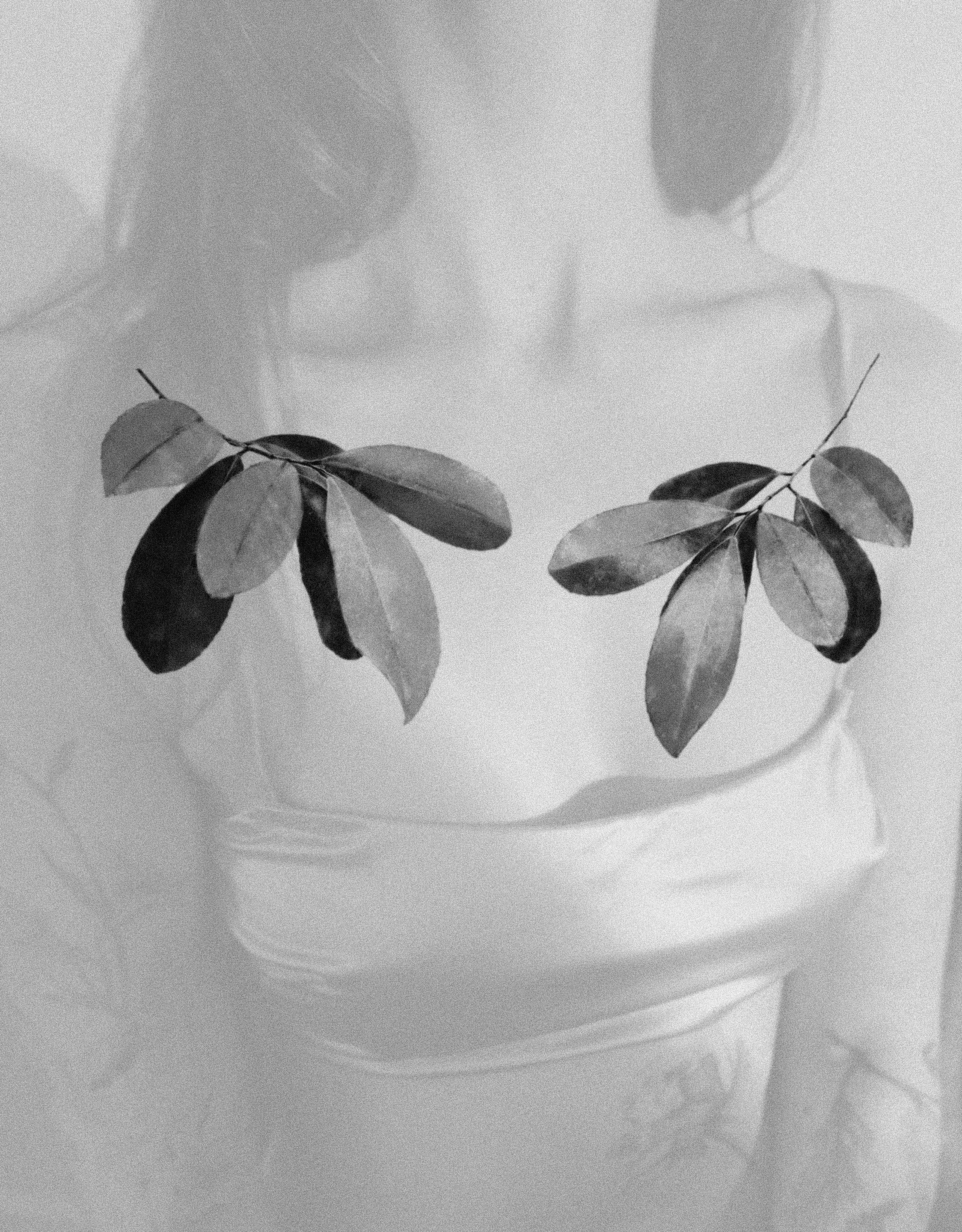 Untitled_Artwork (21).jpg