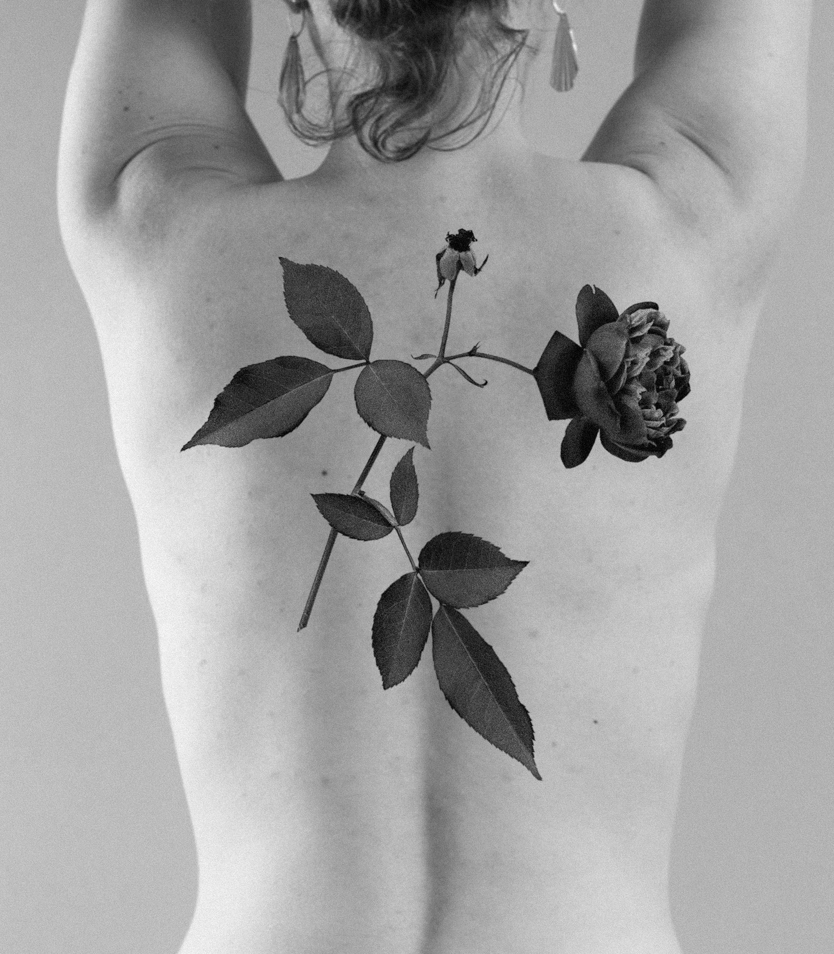 Untitled_Artwork (22).jpg