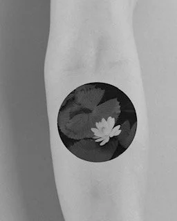 Untitled_Artwork (26).jpg