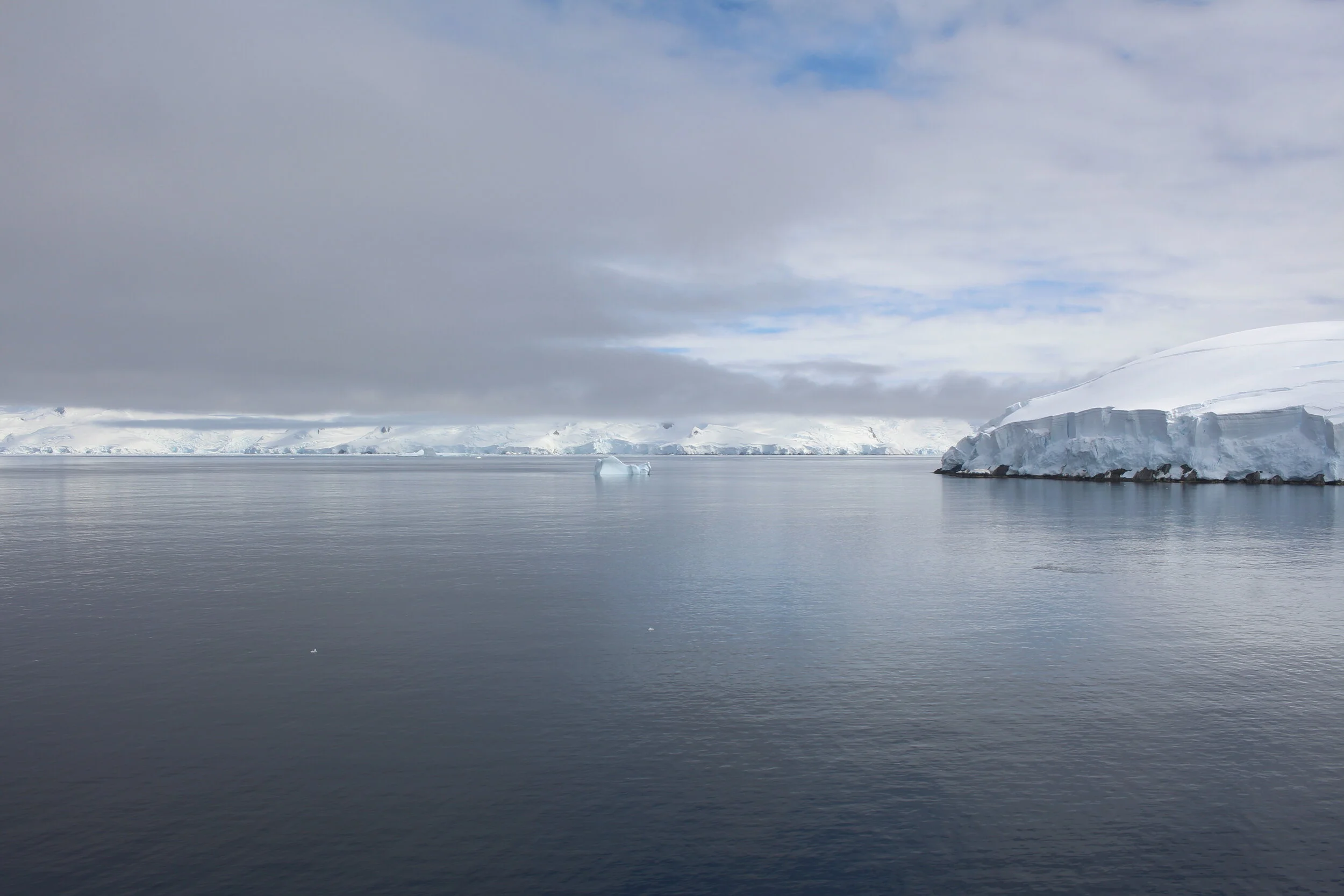 Antarctic Peninsula, 2020