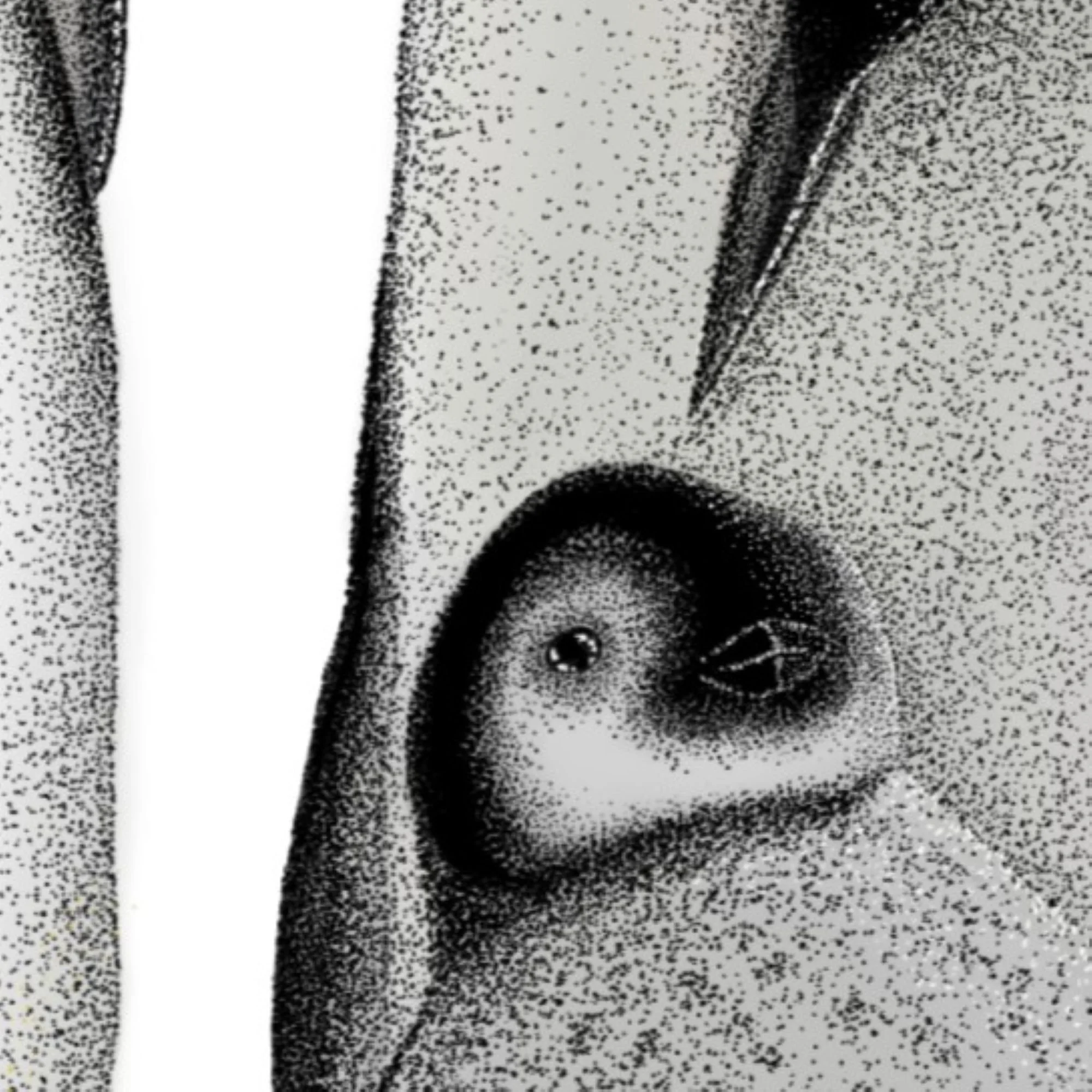 0186 Penguins detail.jpg