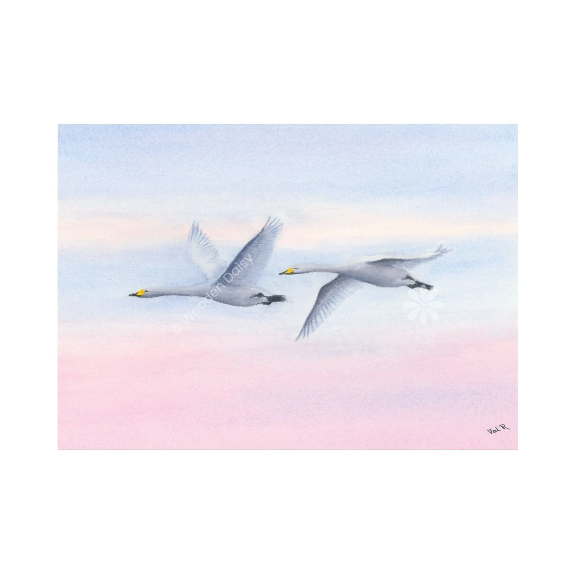 0189 Swans in Flight 3-watermarked.jpg