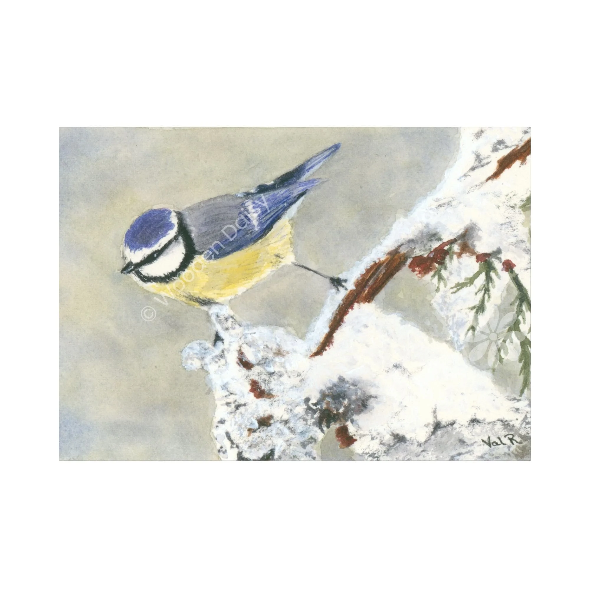 0315 Bluetit 3-watermarked.jpg