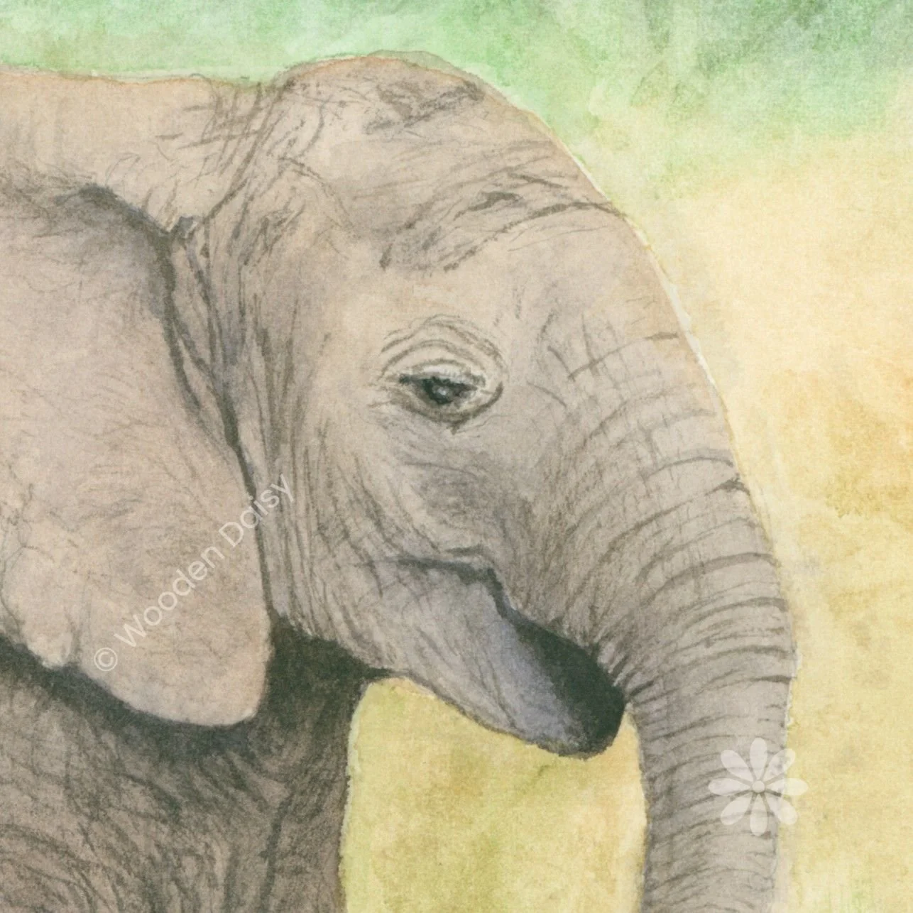 0170 2026 Elephant detail-watermarked.jpg