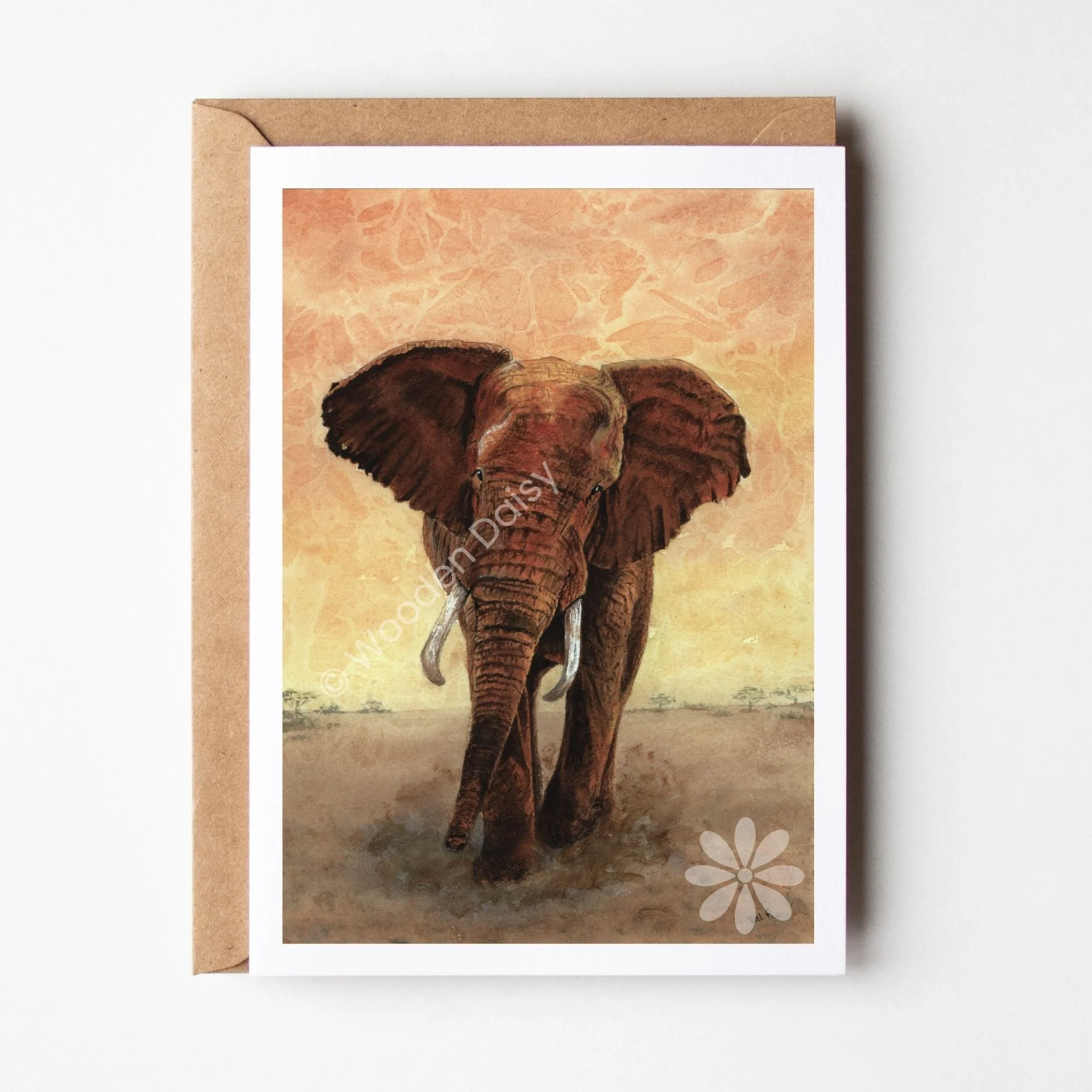 0169 2024 Elephant Bull 2-watermarked.jpg