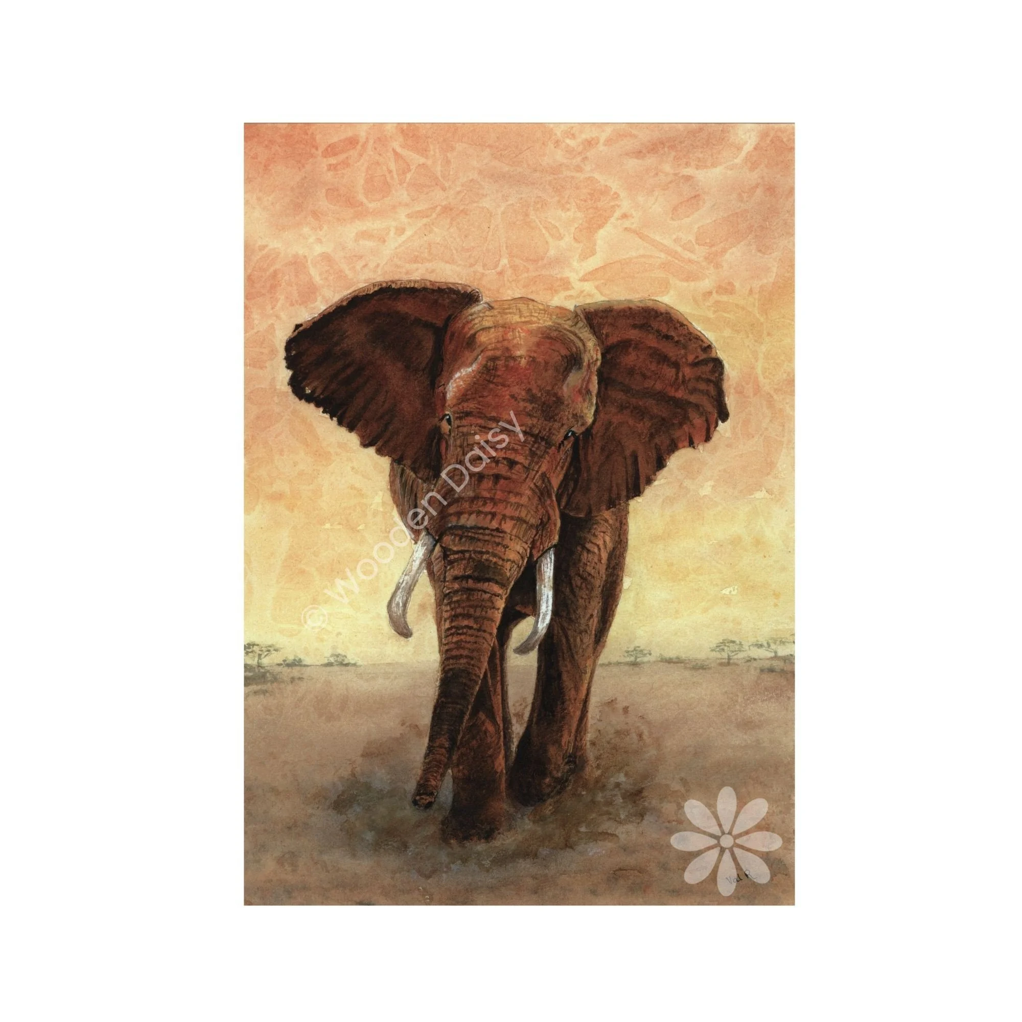 0169 2024 Elephant Bull 3-watermarked.jpg