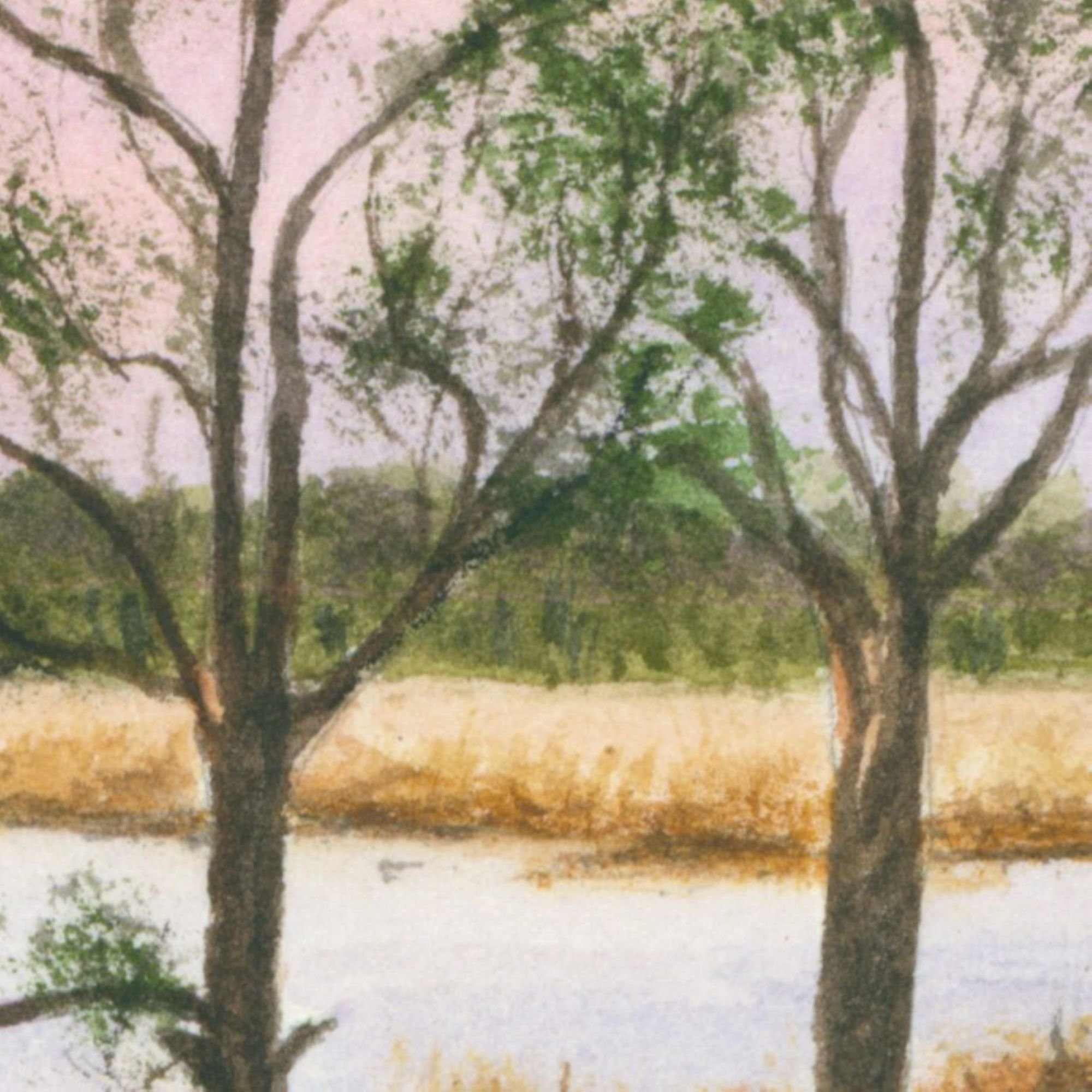 0185 2026 Pudmore Pond detail.jpg