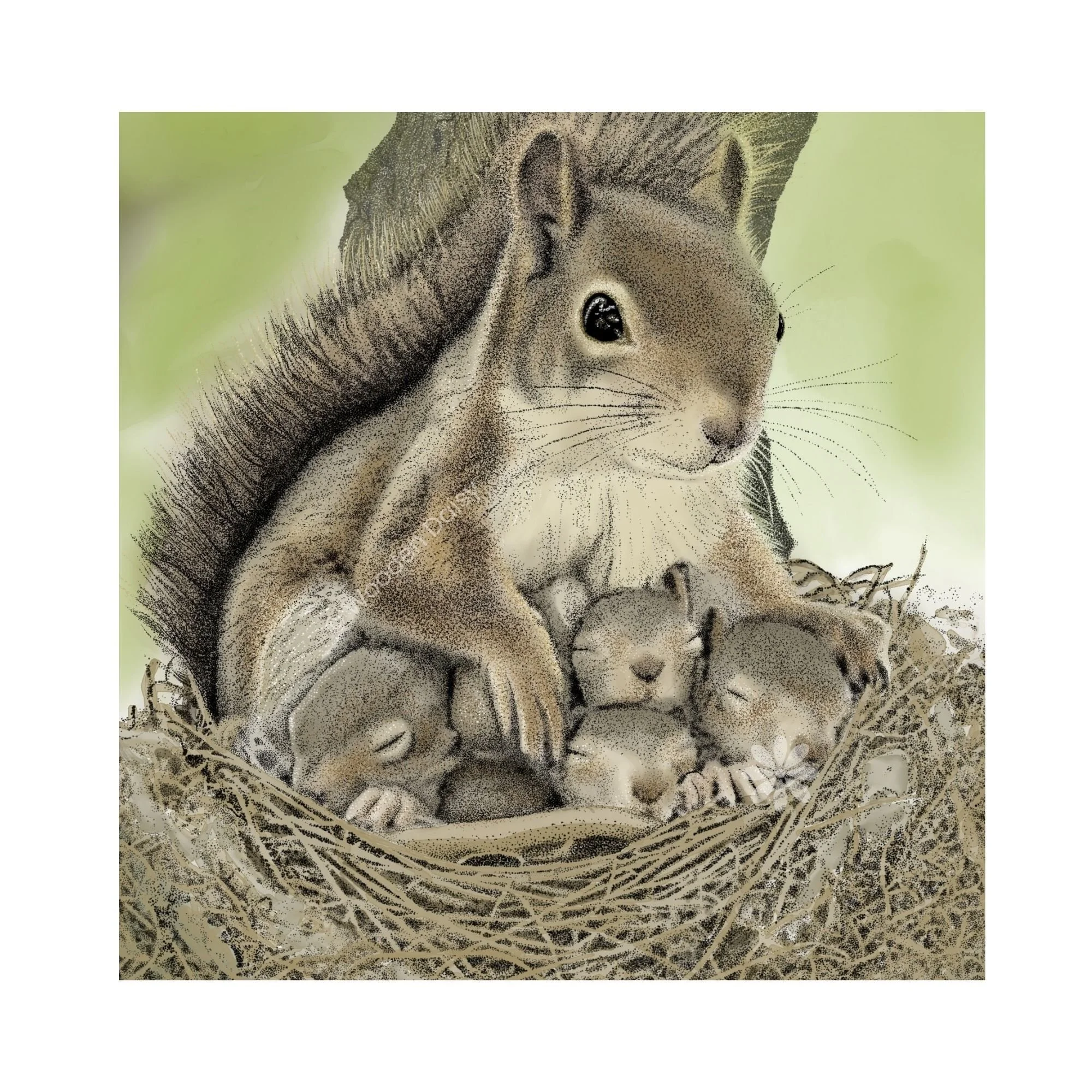 0168 Squirrel Family 3 SQ-watermarked.jpg