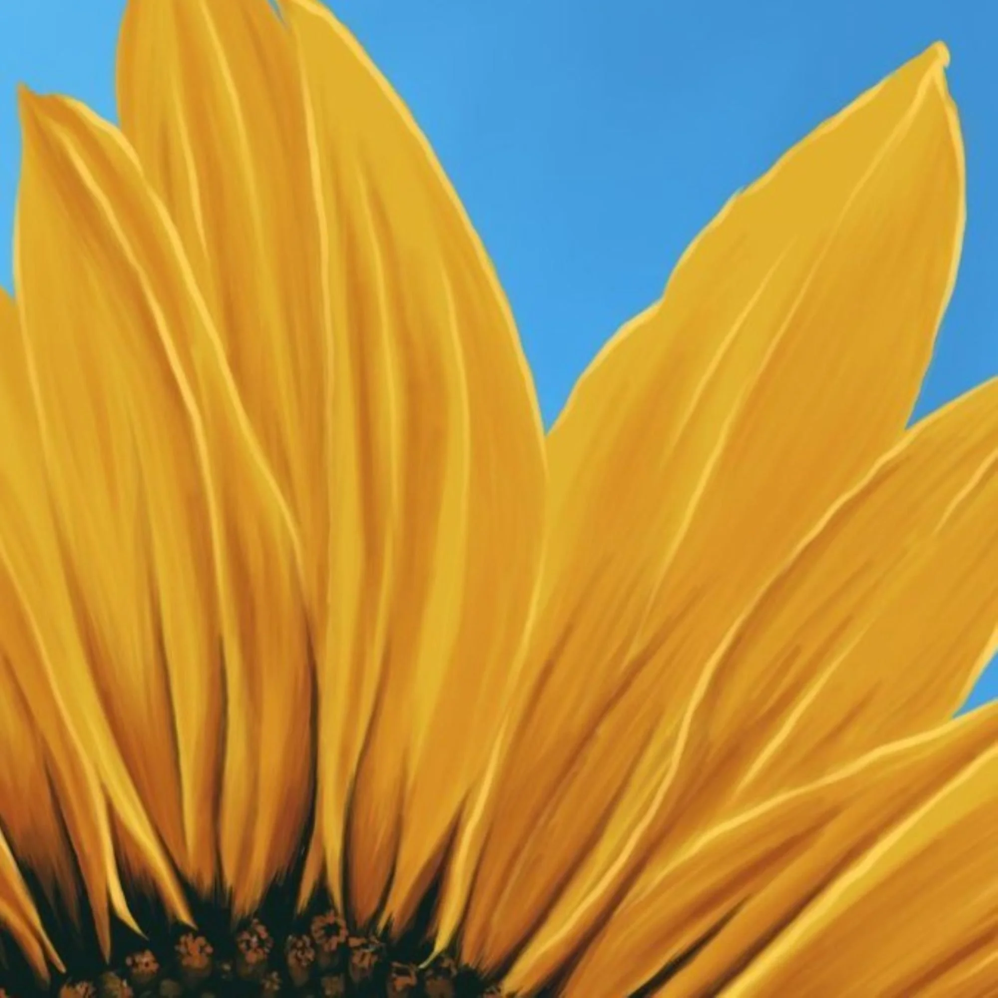 0187 Sunflower detail 2 ETSY 2000px.jpg