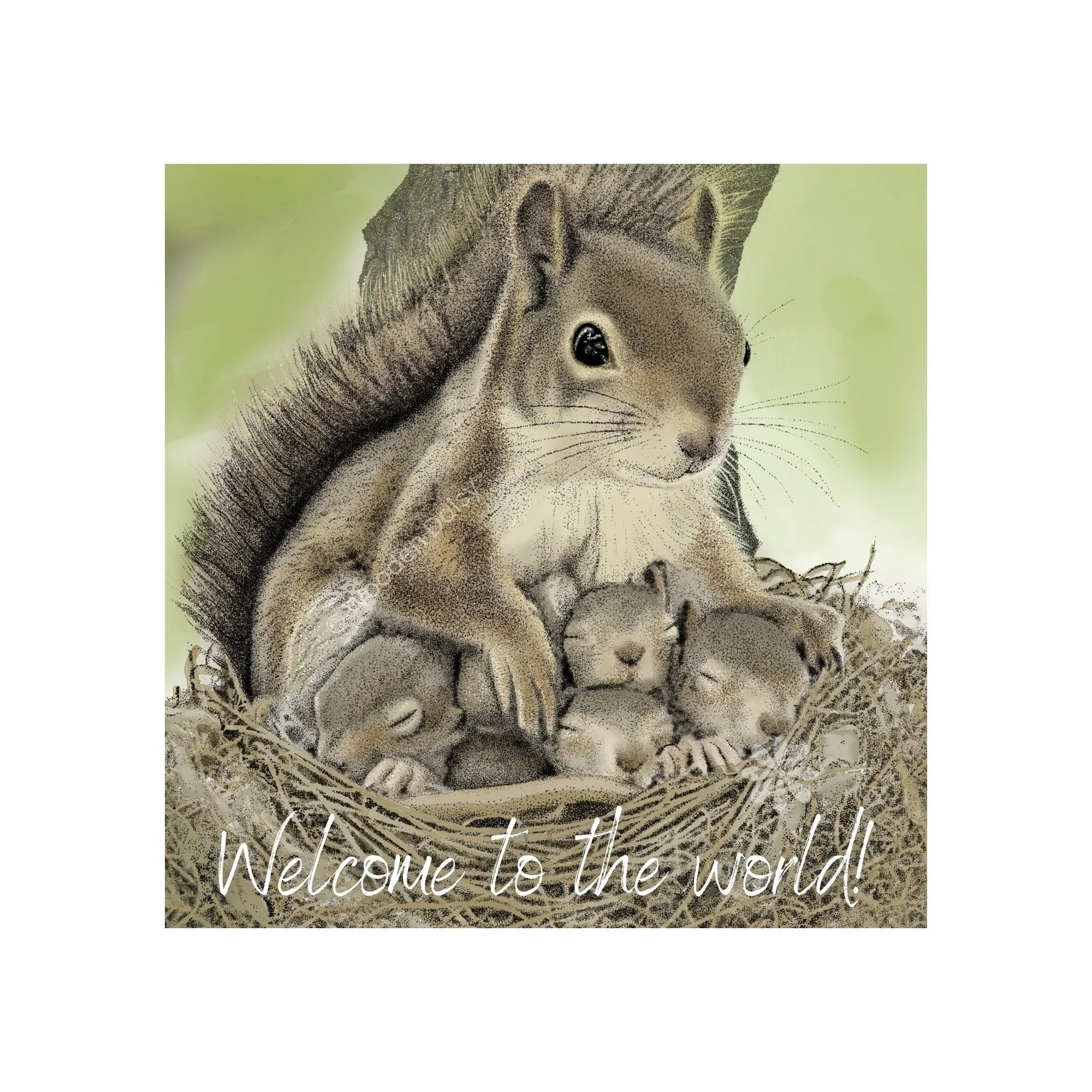 0168 Congrats Squirrel Family 3 SQ-watermarked.jpg
