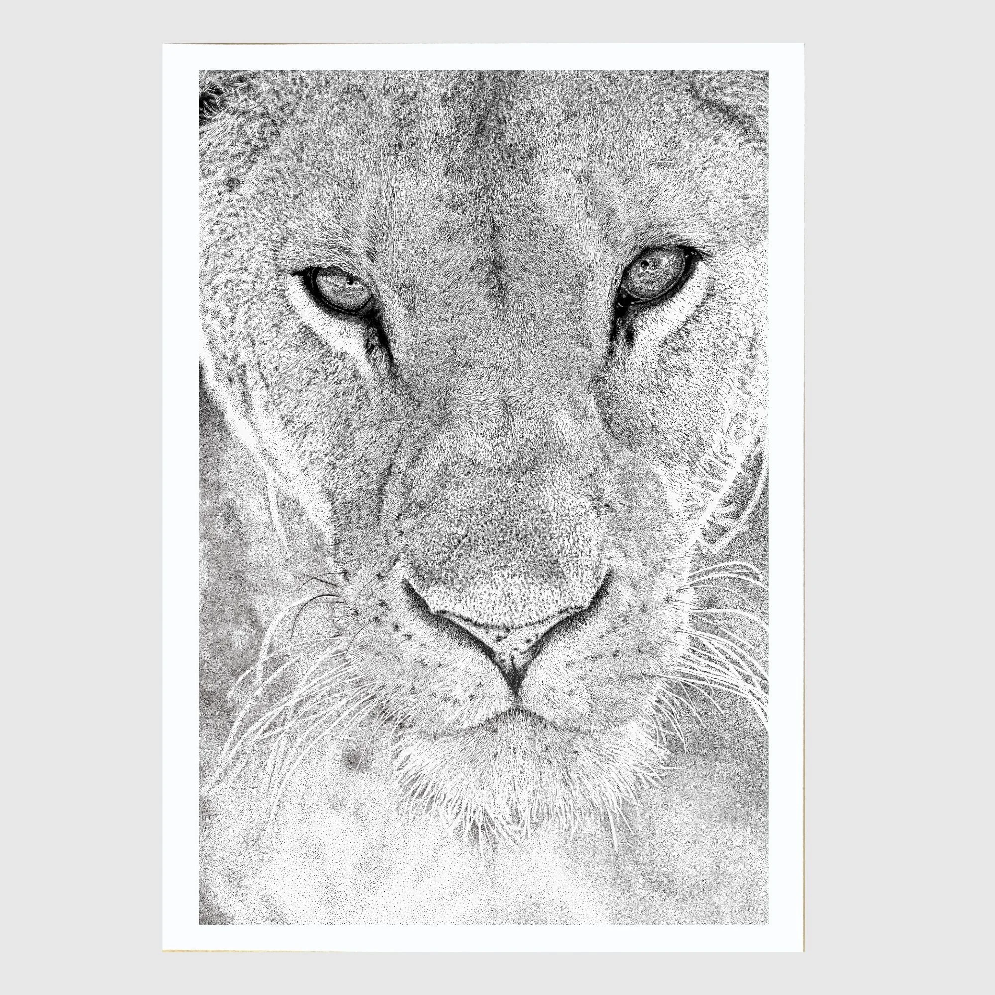 0163 Lioness ETSY Print Mockup portrait - grey.jpg