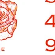 0167k Dog WD Detail Mockups - Etsy - 2000px 3.jpg