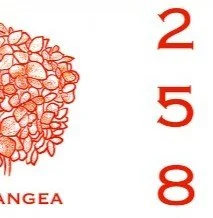 0167l Pig WD Detail Mockups - Etsy - 2000px 3.jpg