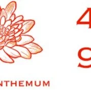 0167i Monkey WD Detail Mockups - Etsy - 2000px 3.jpg