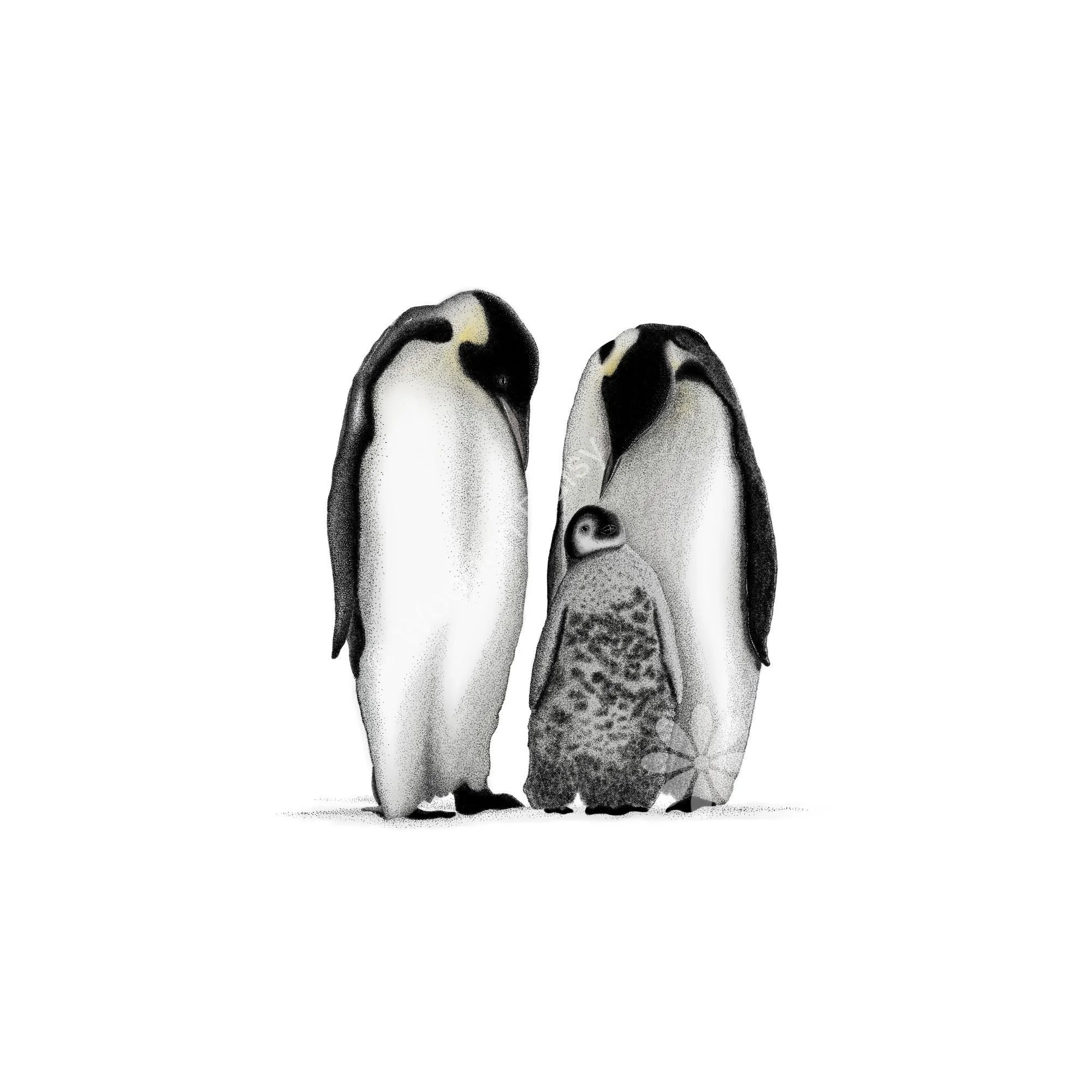 0186 Penguin Family 3-watermarked.jpg
