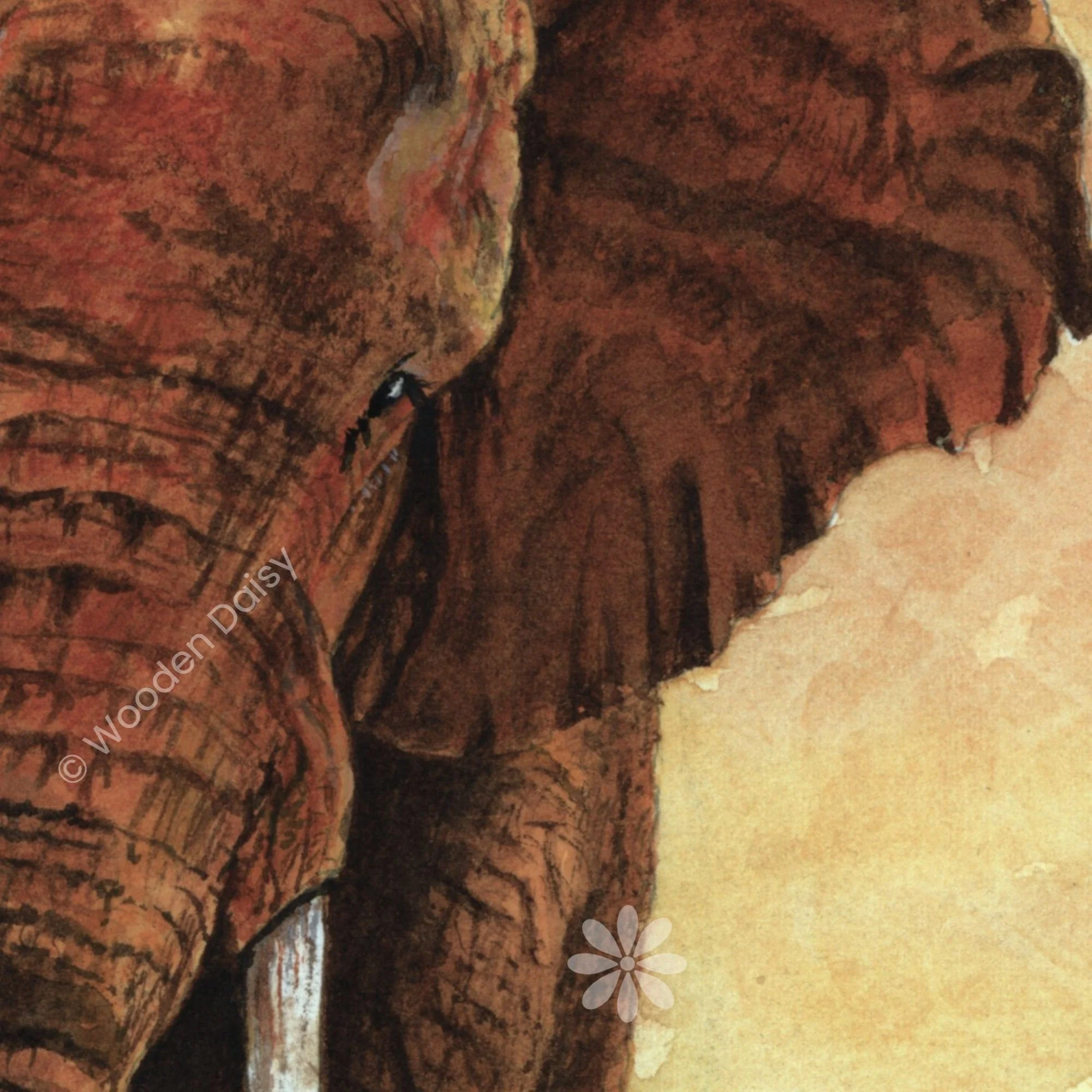 0169 2024 Elephant Bull detail-watermarked.jpg