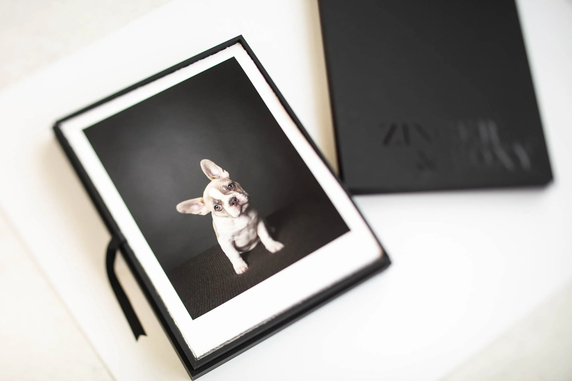 Printed dog artwork by Ellen Shershow Photography Pet Studio