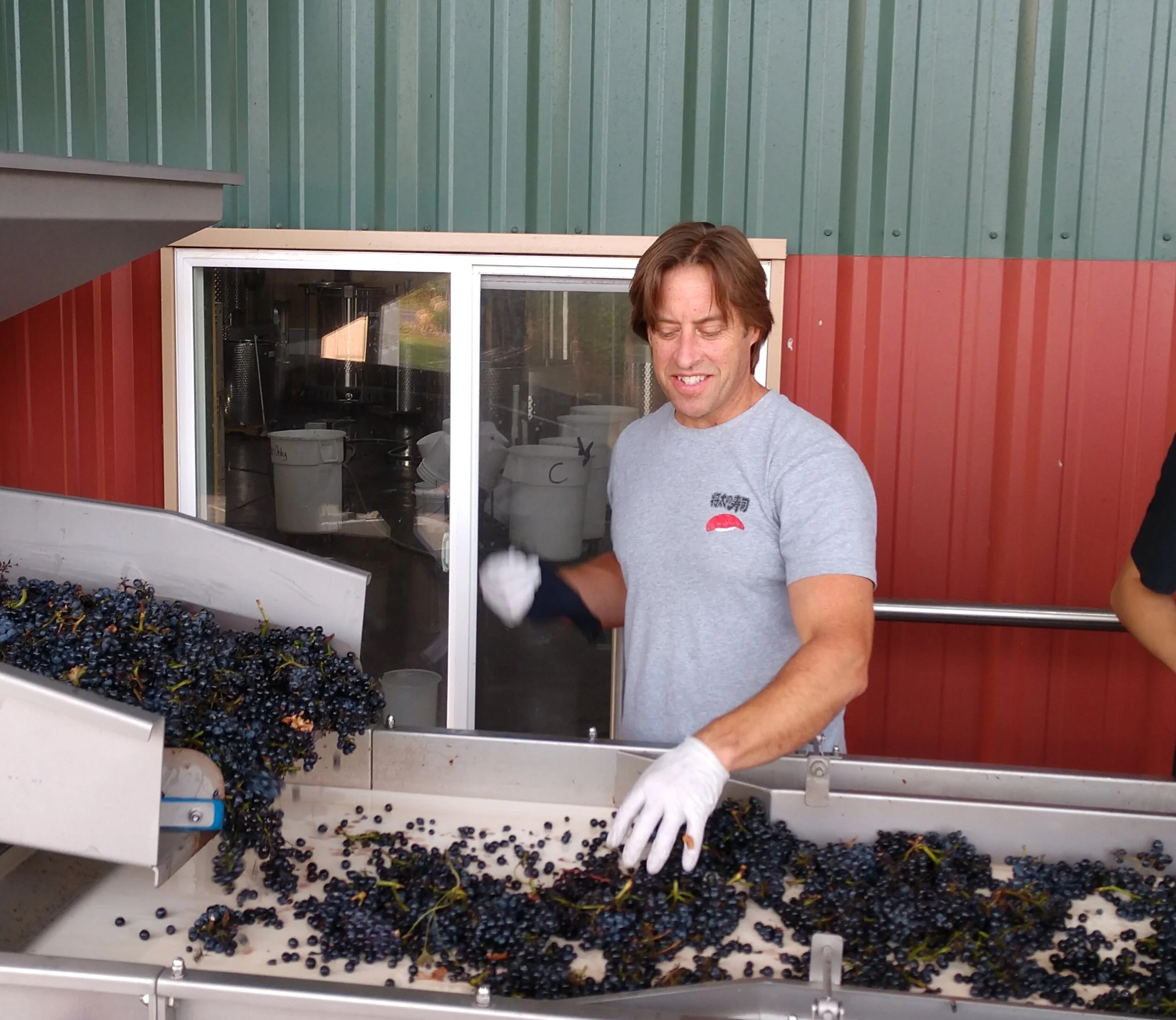 HANDLING PINOT NOIR WITH KID GLOVES