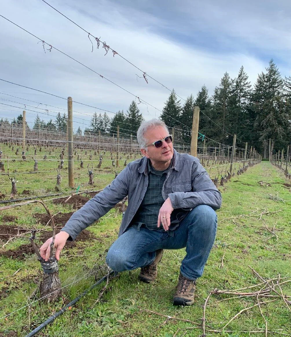 Preparing for the next vintage