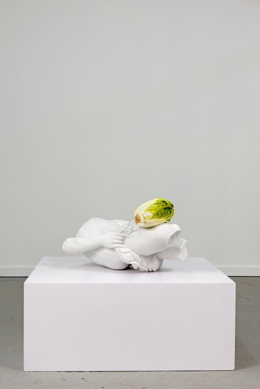 Fragment (Nappa Cabbage), 2026
Marble, painted bronze
15 x 25 x 20 in
(TM-657)