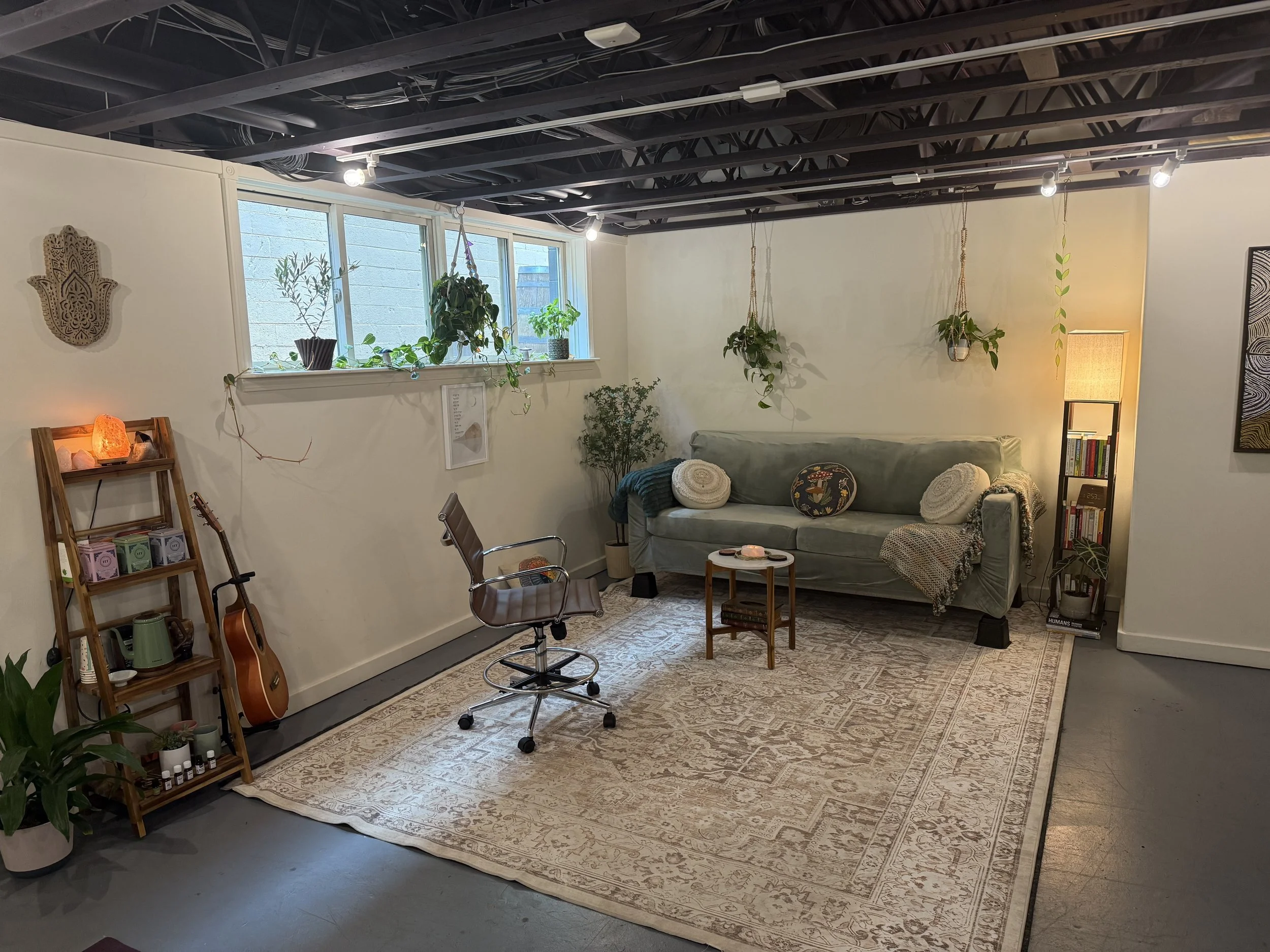 Boulder Colorado Psilocybin Therapist Integration IFS, CBT, EMDR