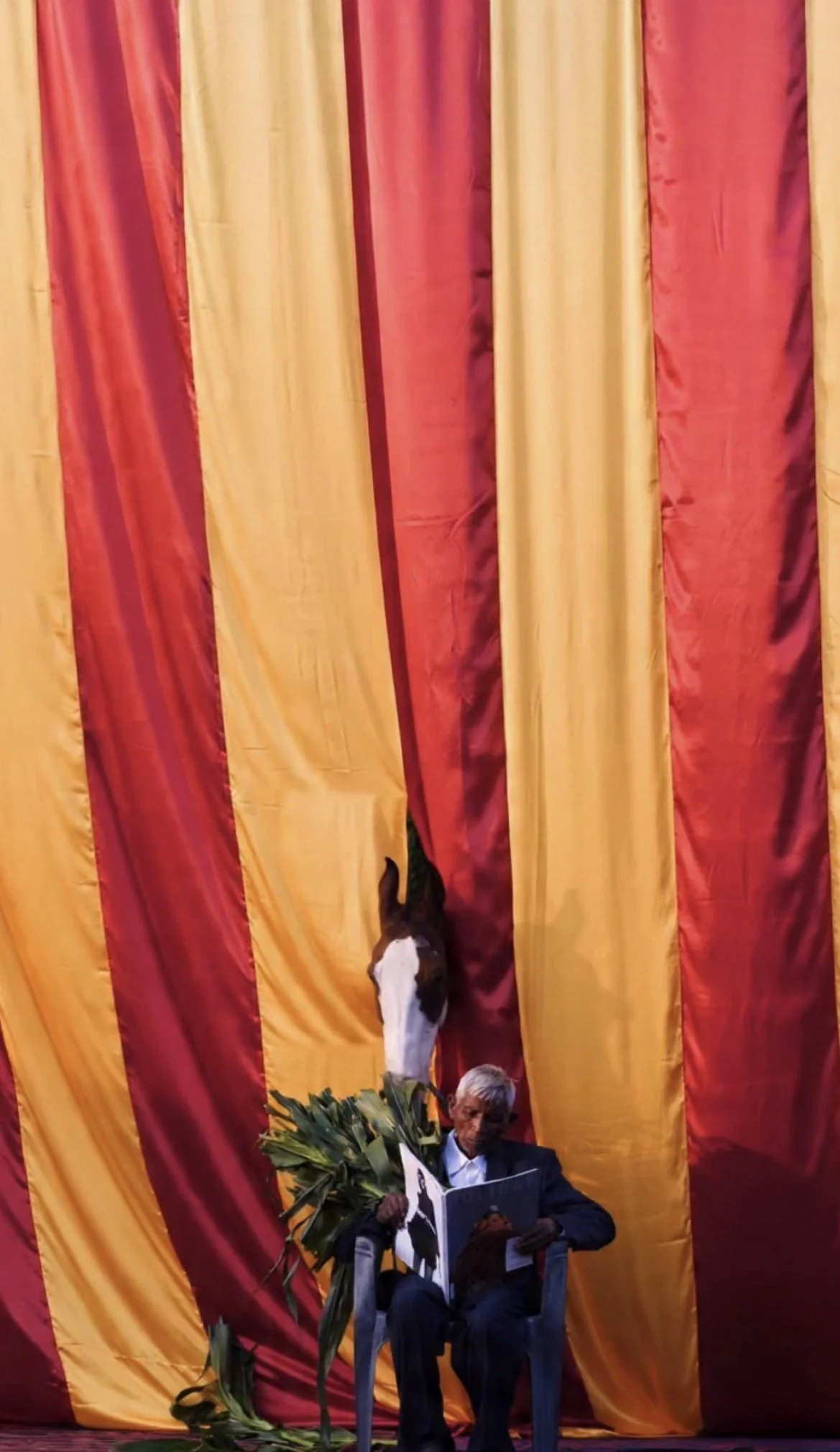 6A427CF5-28C5-4809-A2FE-5416DBF3E8CA 2.jpg