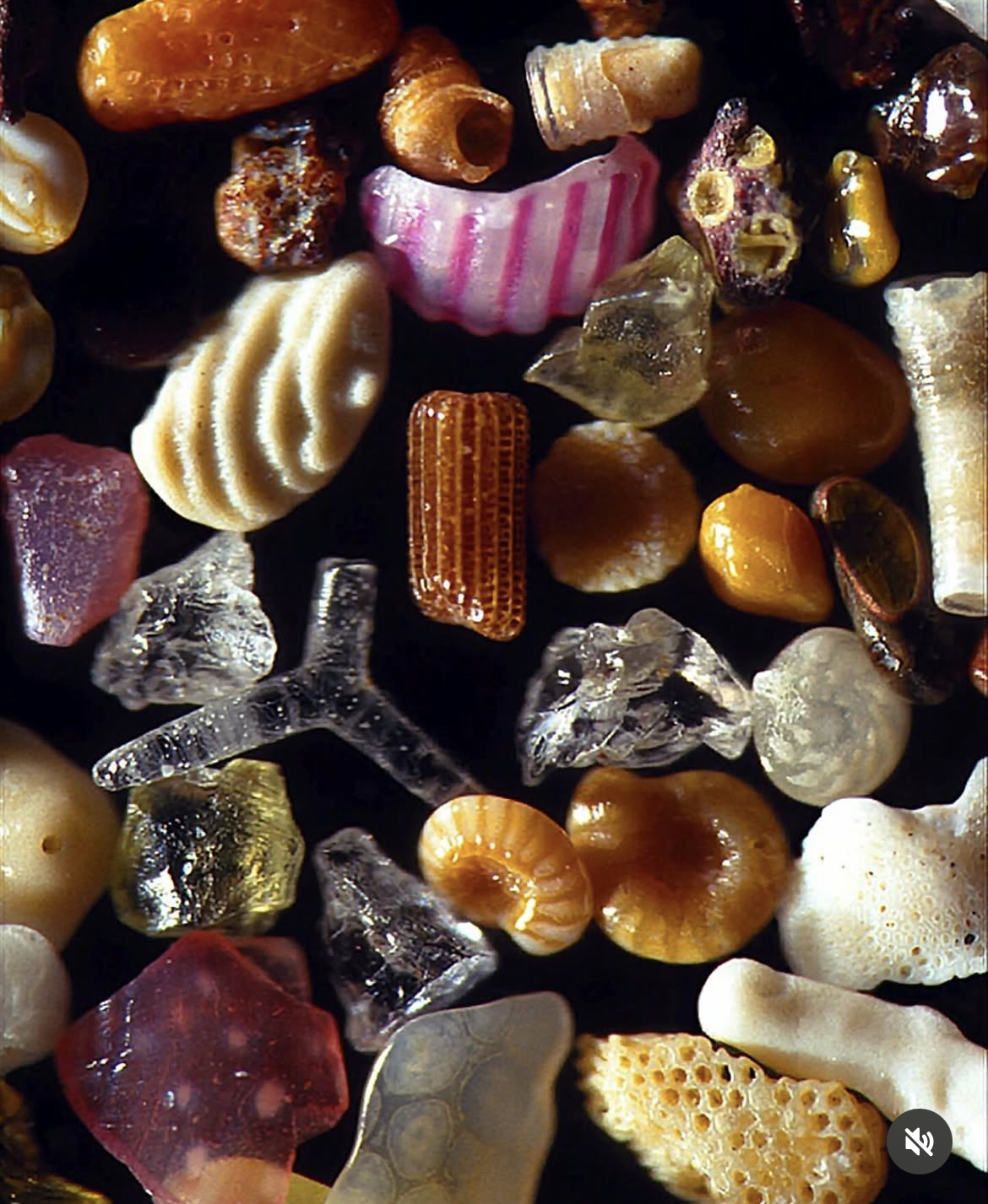 Screenshot 2026-01-18 at 5.17.59 PM.png