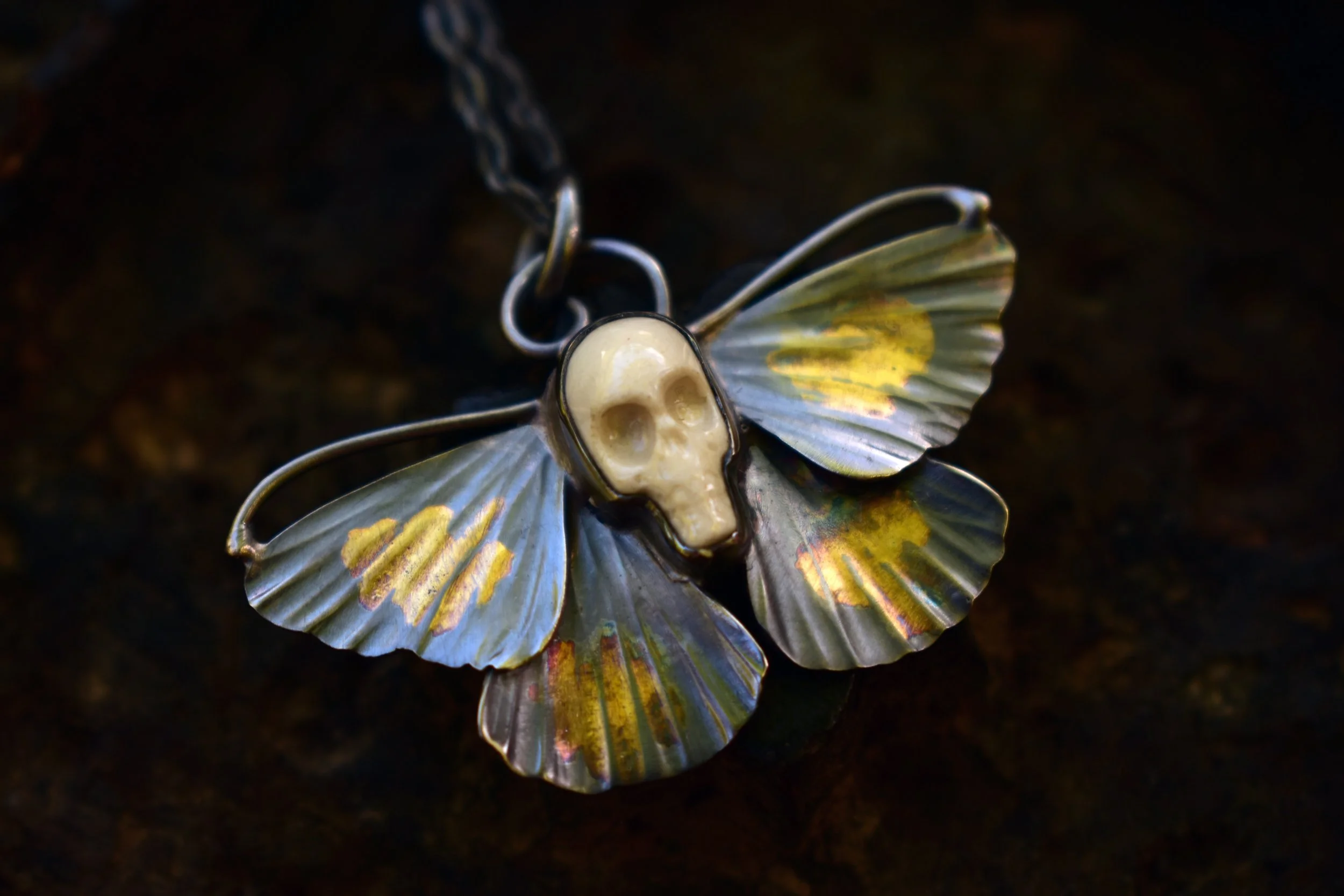 deaths head moth.jpg