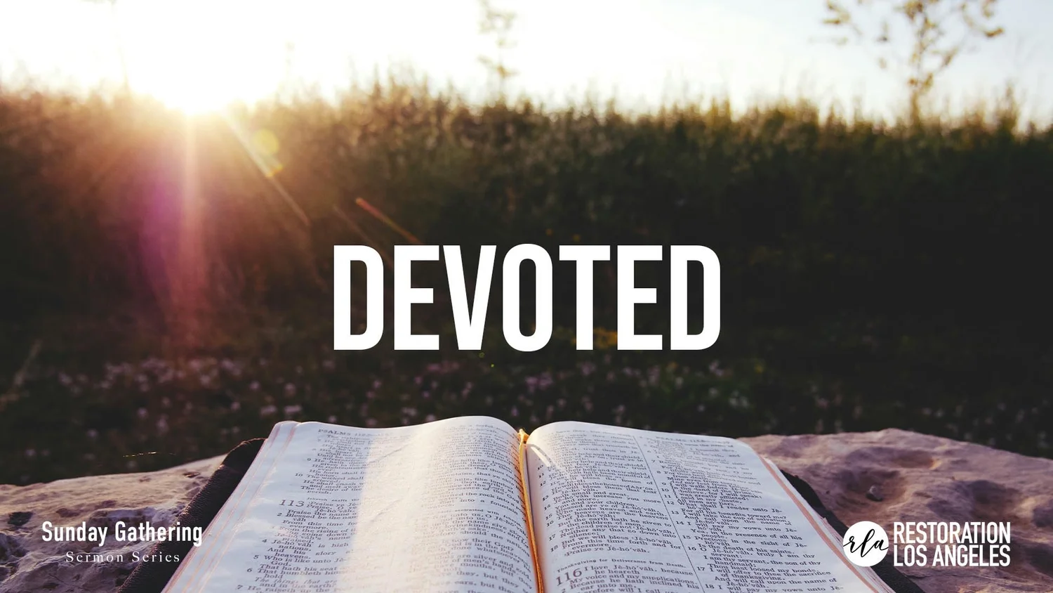 Devoted (Part 3) episode artwork
