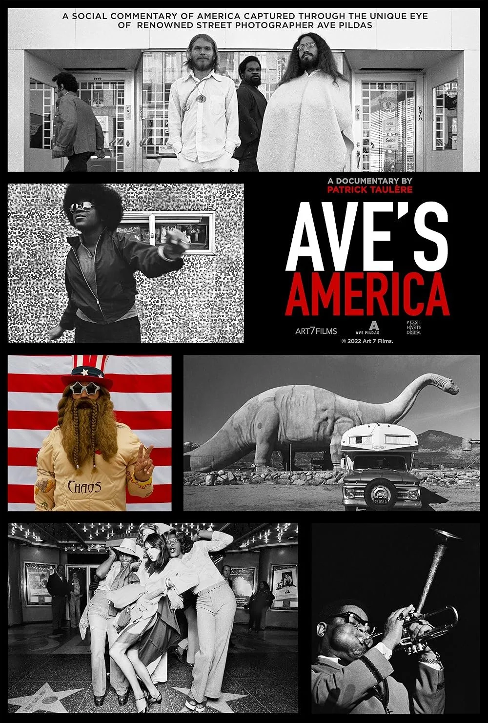 Poster for the documentary 'Aves America' featuring black and white photos of diverse American scenes and people, including musicians, street artists, and cultural symbols, with the title prominently displayed in bold white and red lettering.